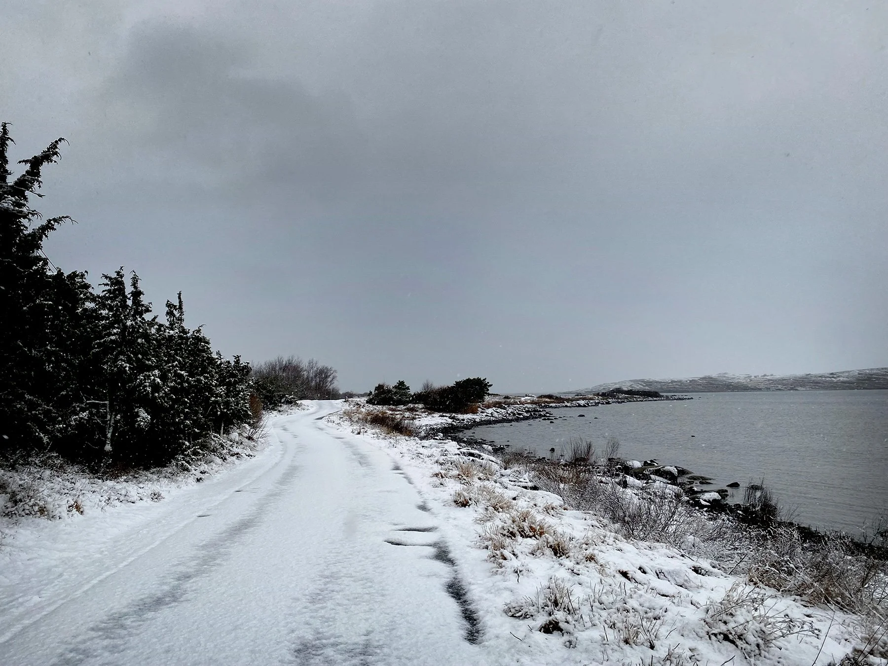 blogg-250312snomorgon8.jpg