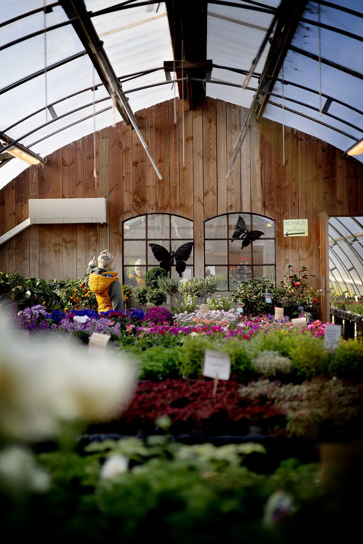 blogg-250328blomsterstugan2.jpg