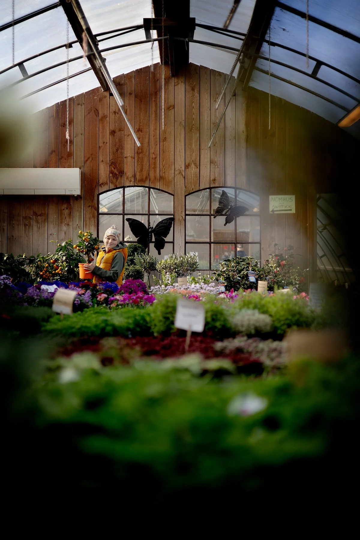 blogg-250328blomsterstugan3.jpg