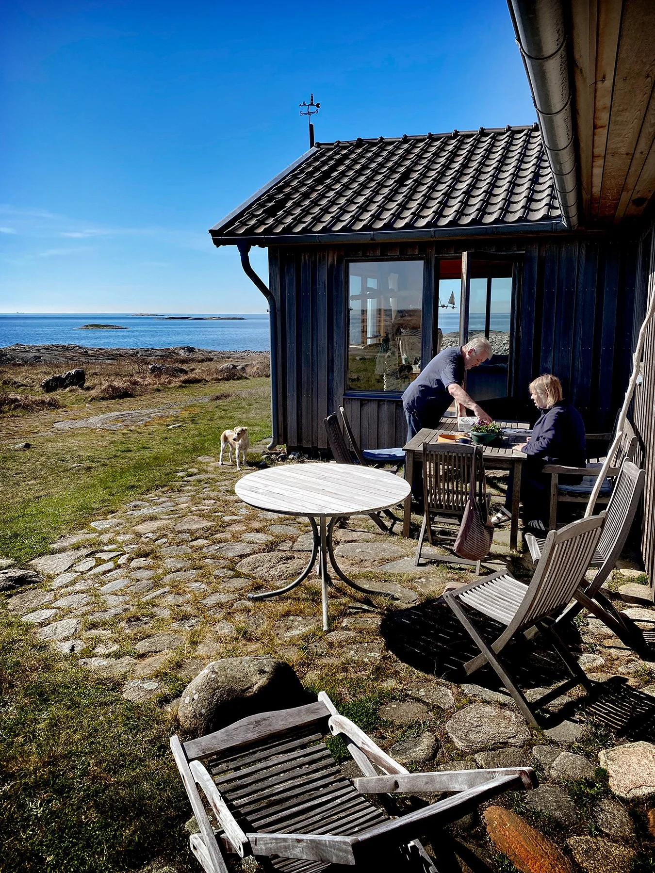 blogg-250403hosirenelarsbertil.jpg