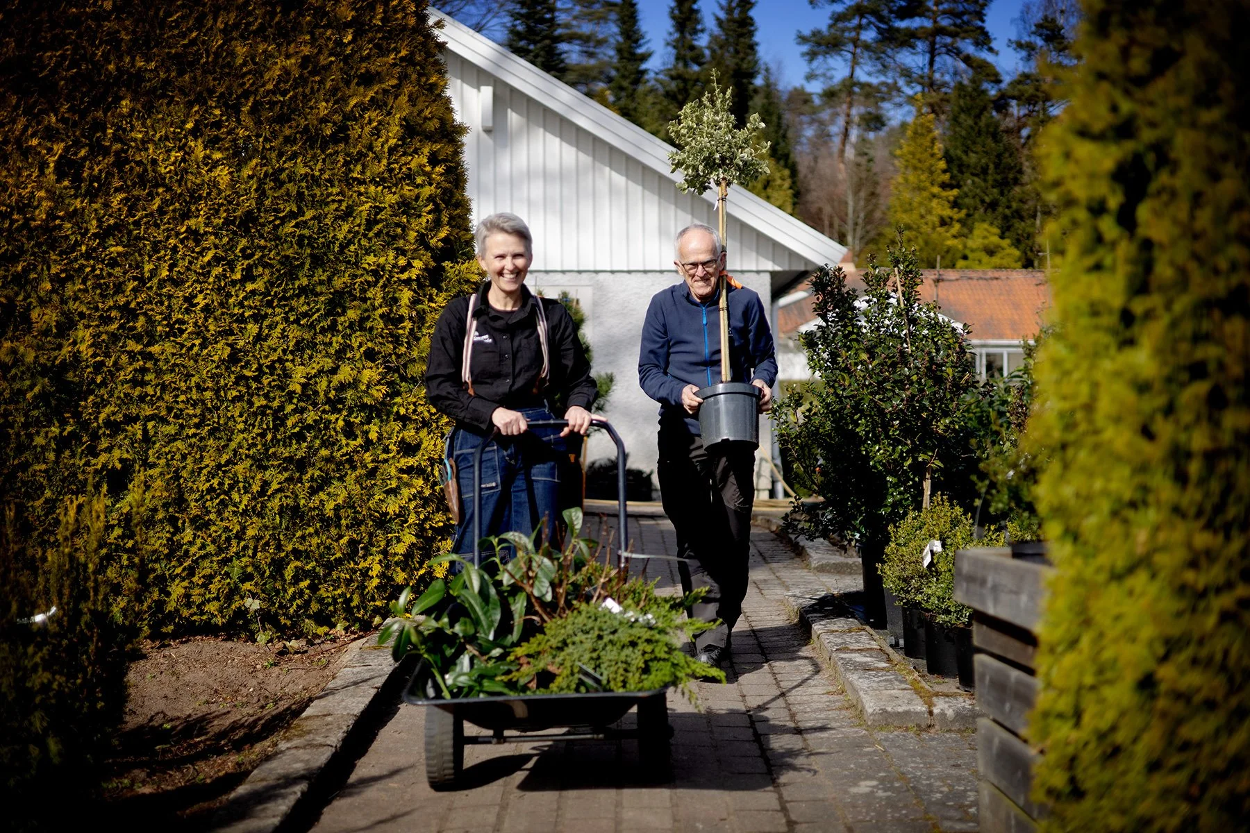 blogg-250409horasensplantskola12.jpg