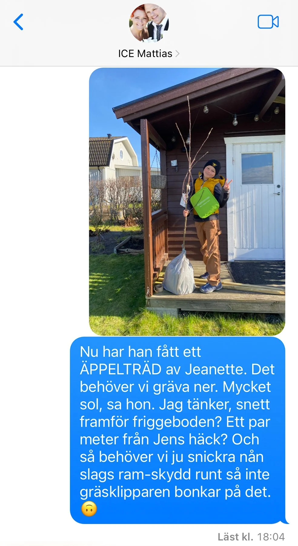 blogg-250409planteraappeltrad1.jpg