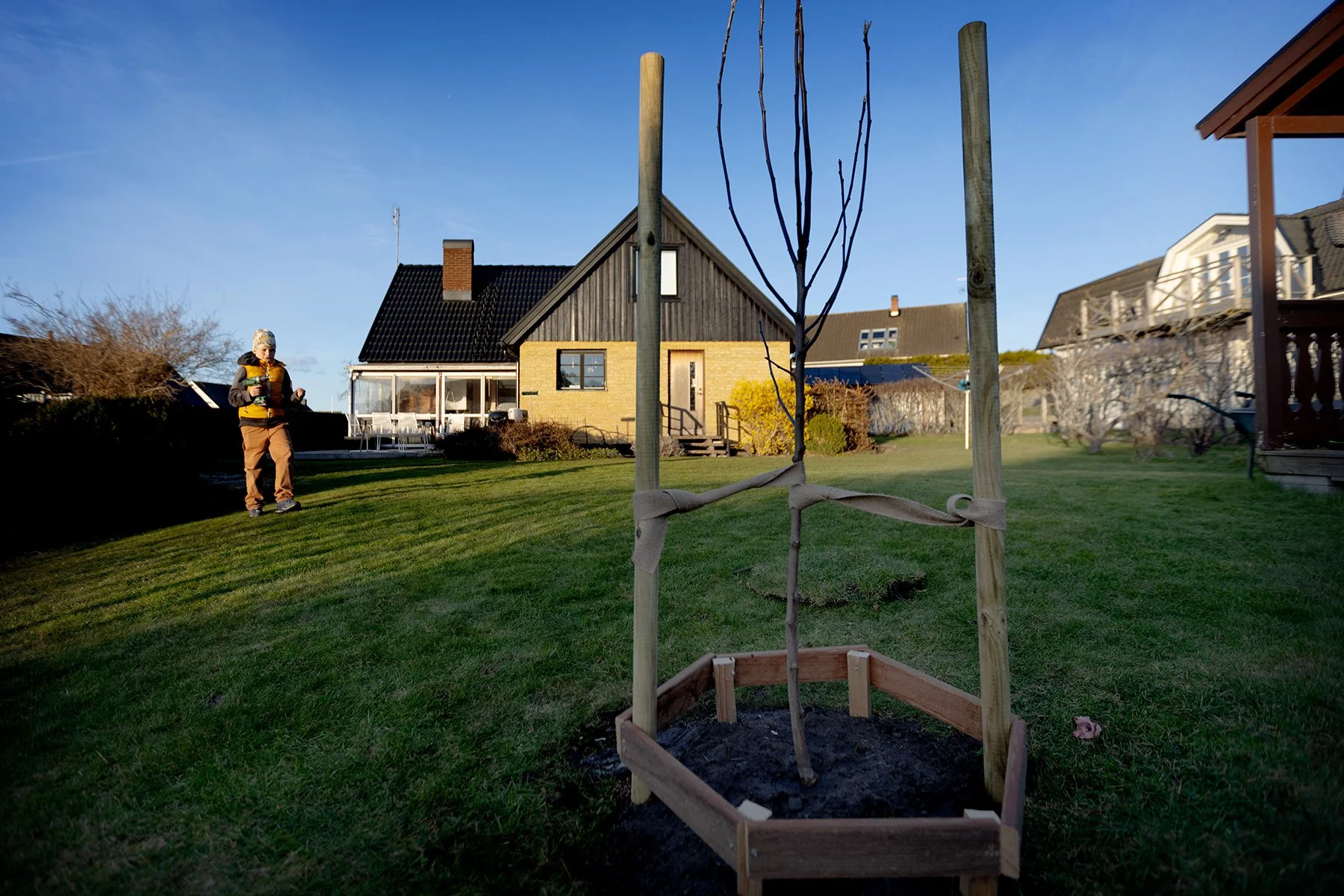 blogg-250409planteraappeltrad9.jpg