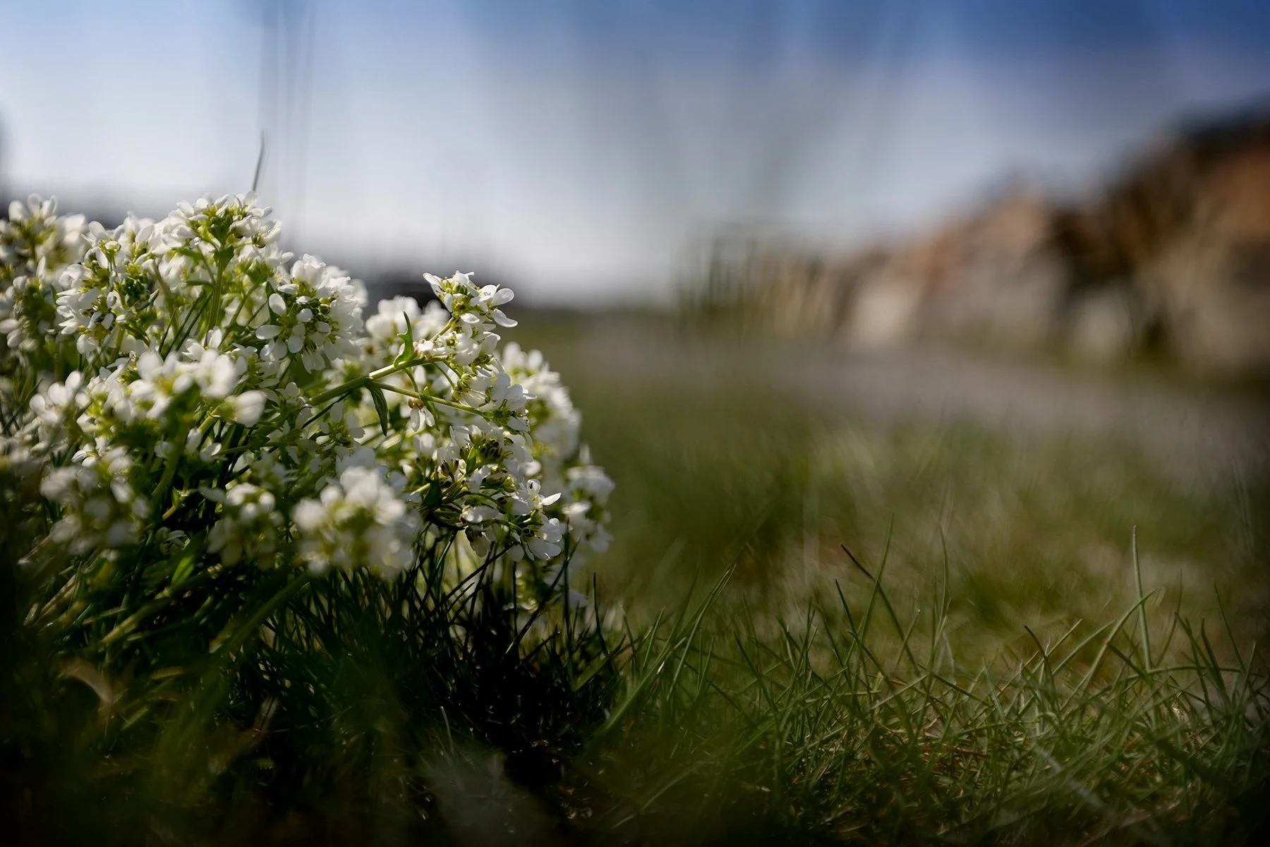 blogg-250417bertilrasmusbadar16.jpg