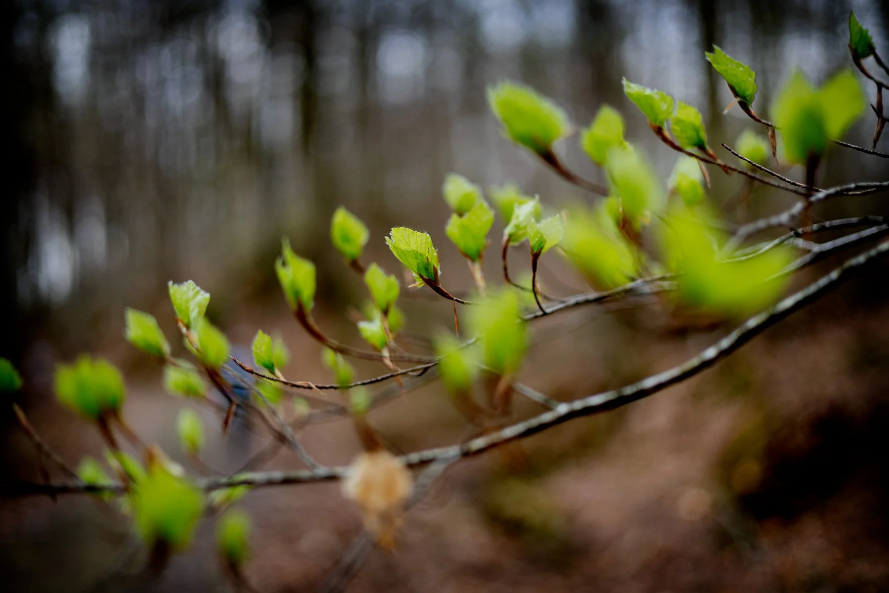 blogg-250418orienteringakulla23.jpg