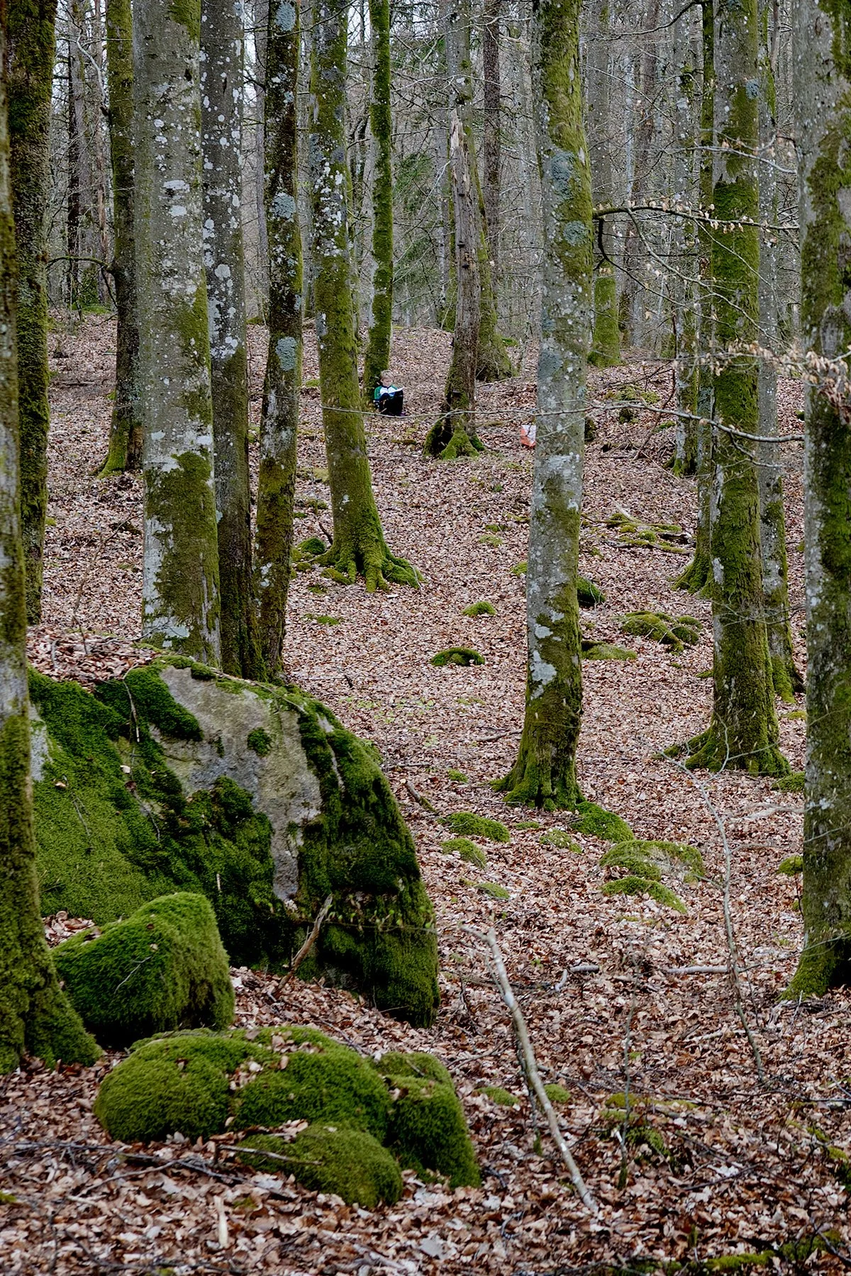 blogg-250418orienteringakullany2.jpg