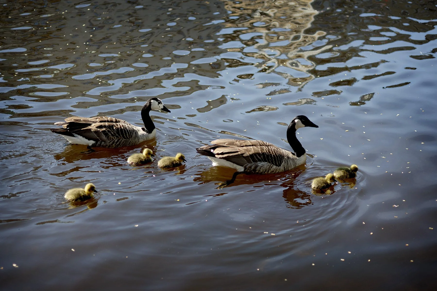 blogg-250426goteborg7.jpg