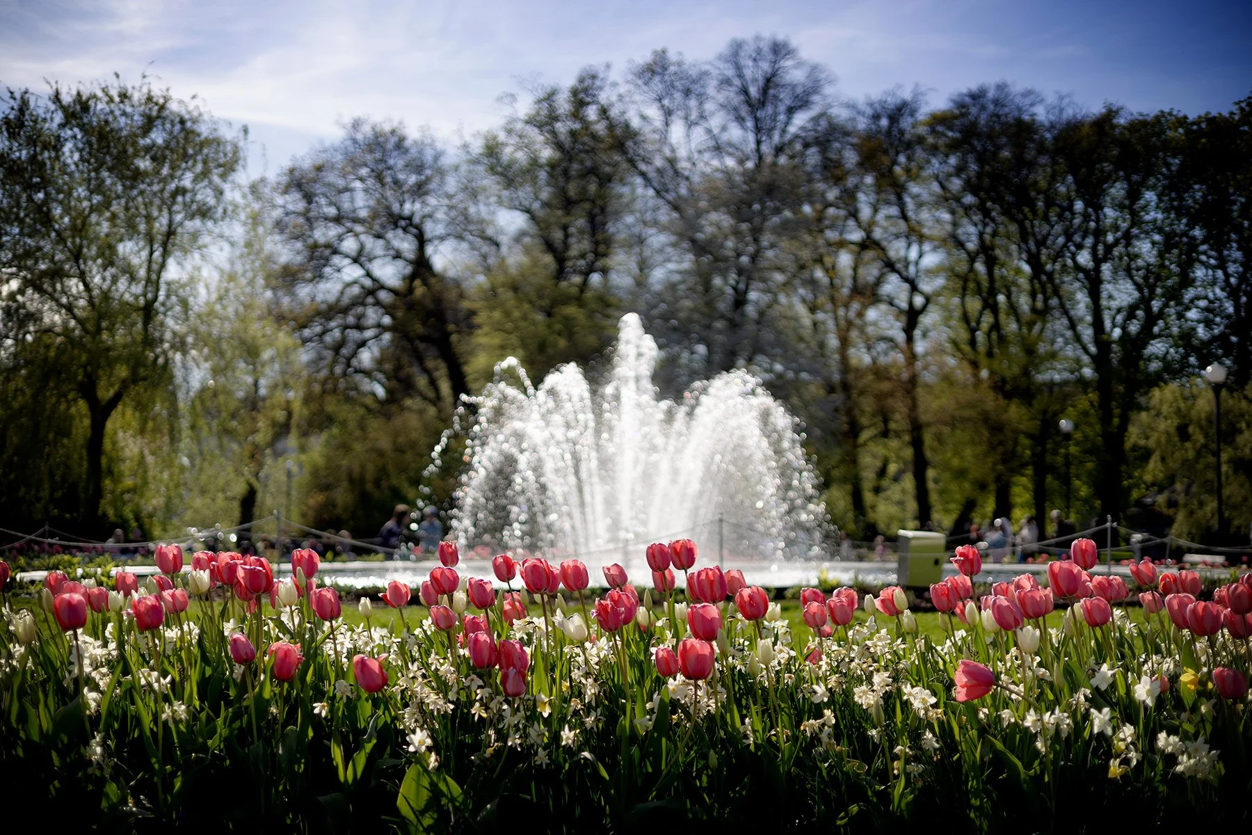 blogg-250426goteborg9.jpg