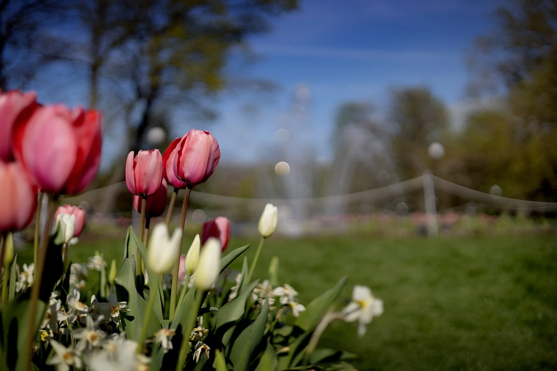 blogg-250426goteborg17.jpg