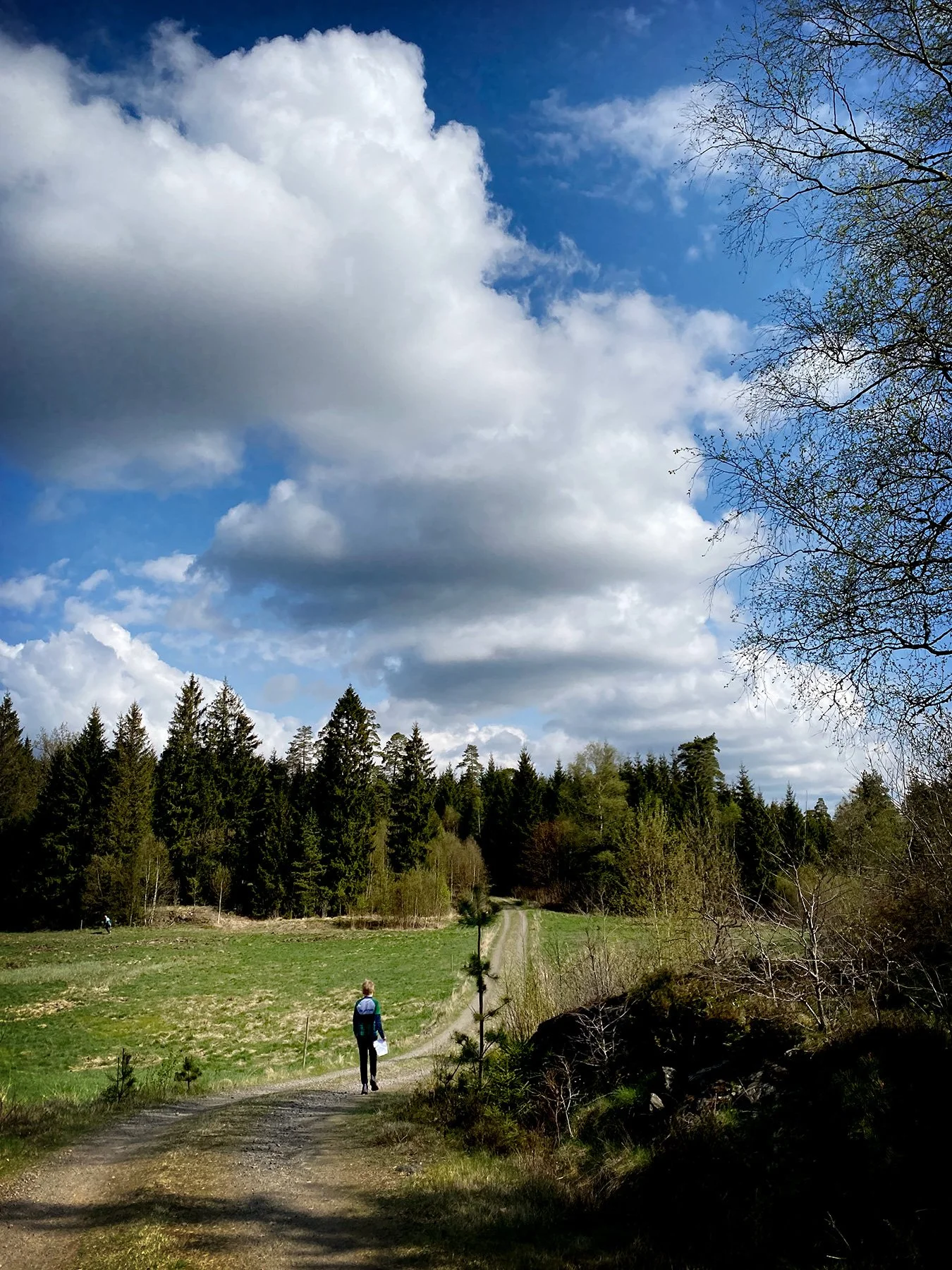 blogg-250427ol-fagered6.jpg