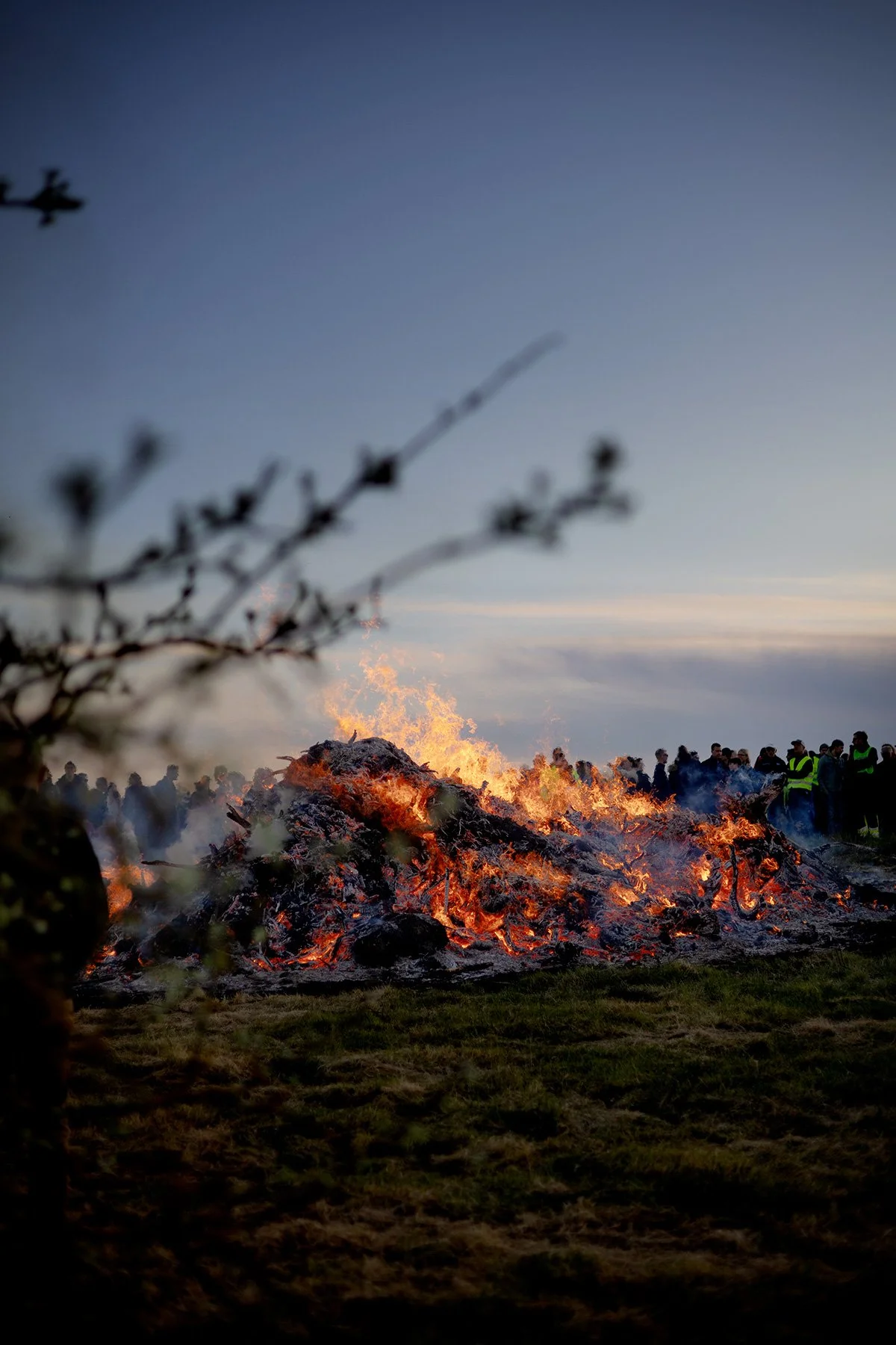 blogg-250430valborg24.jpg
