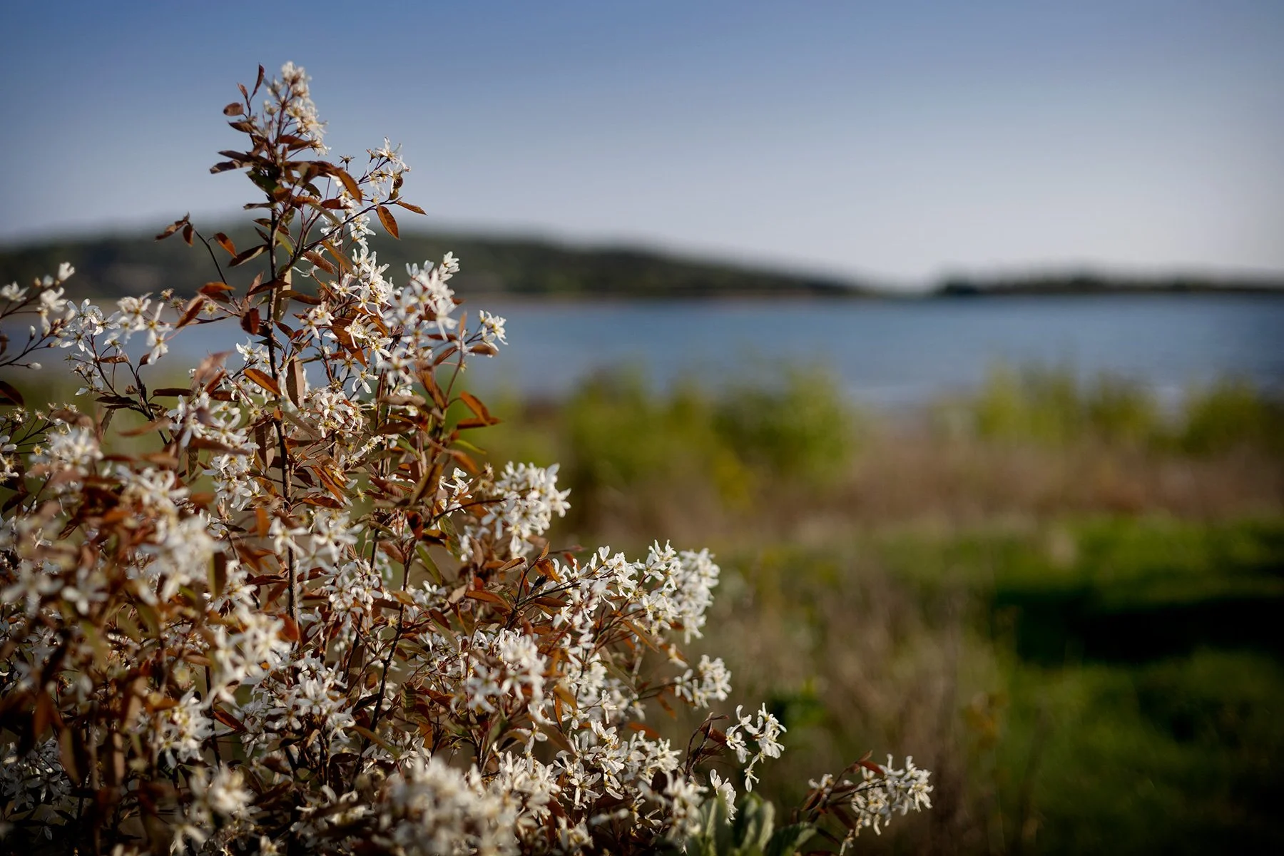 blogg-250501karradal9.jpg