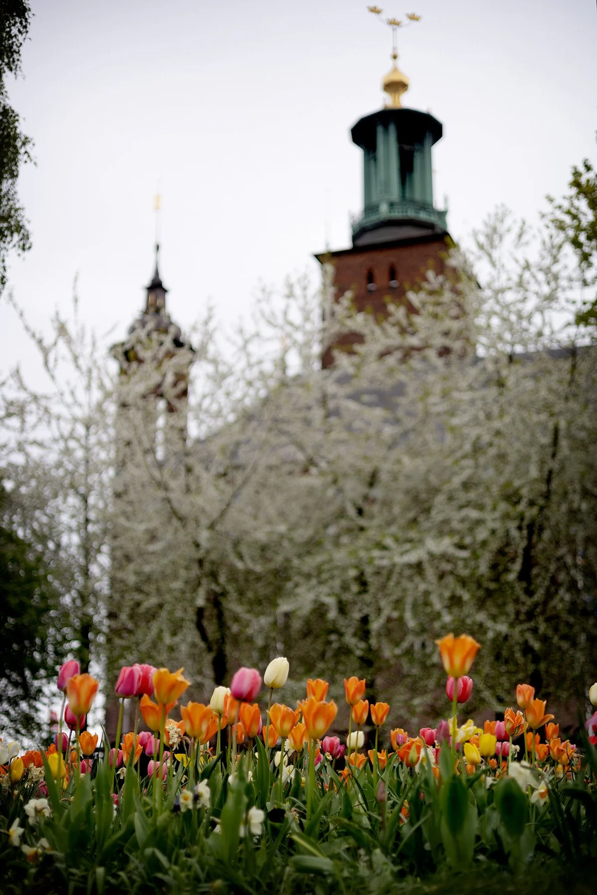 blogg-250508tillstockholm7.jpg