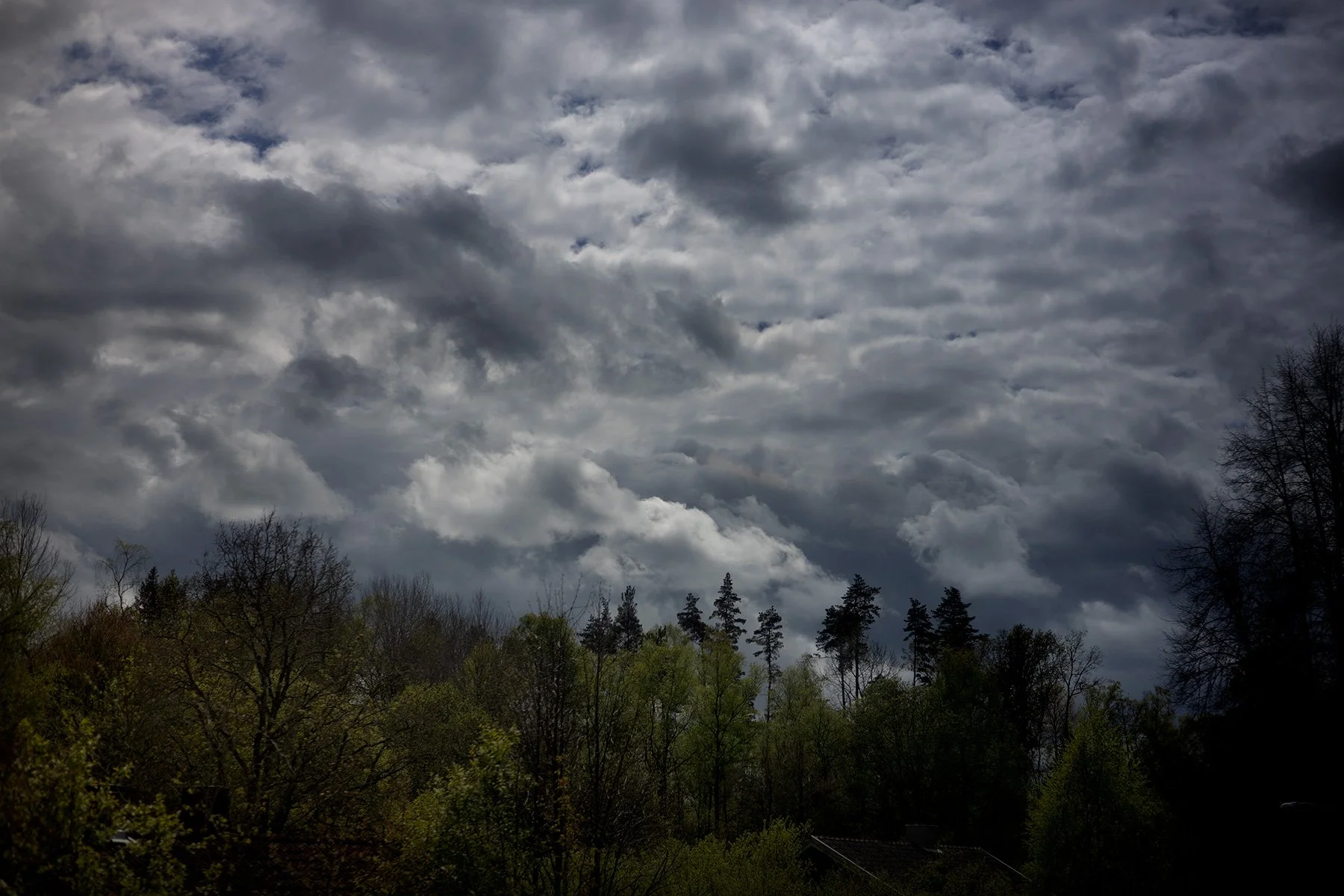 blogg-250510hemfranstockholm10.jpg