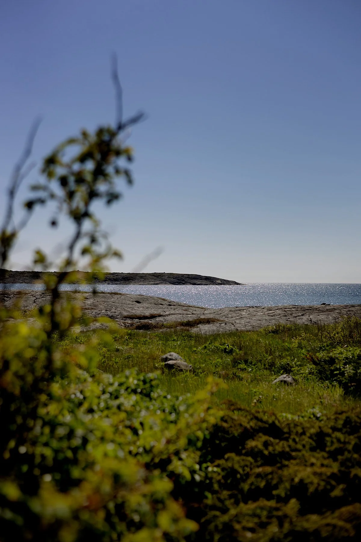 blogg-250512irenelarsbertil1.jpg