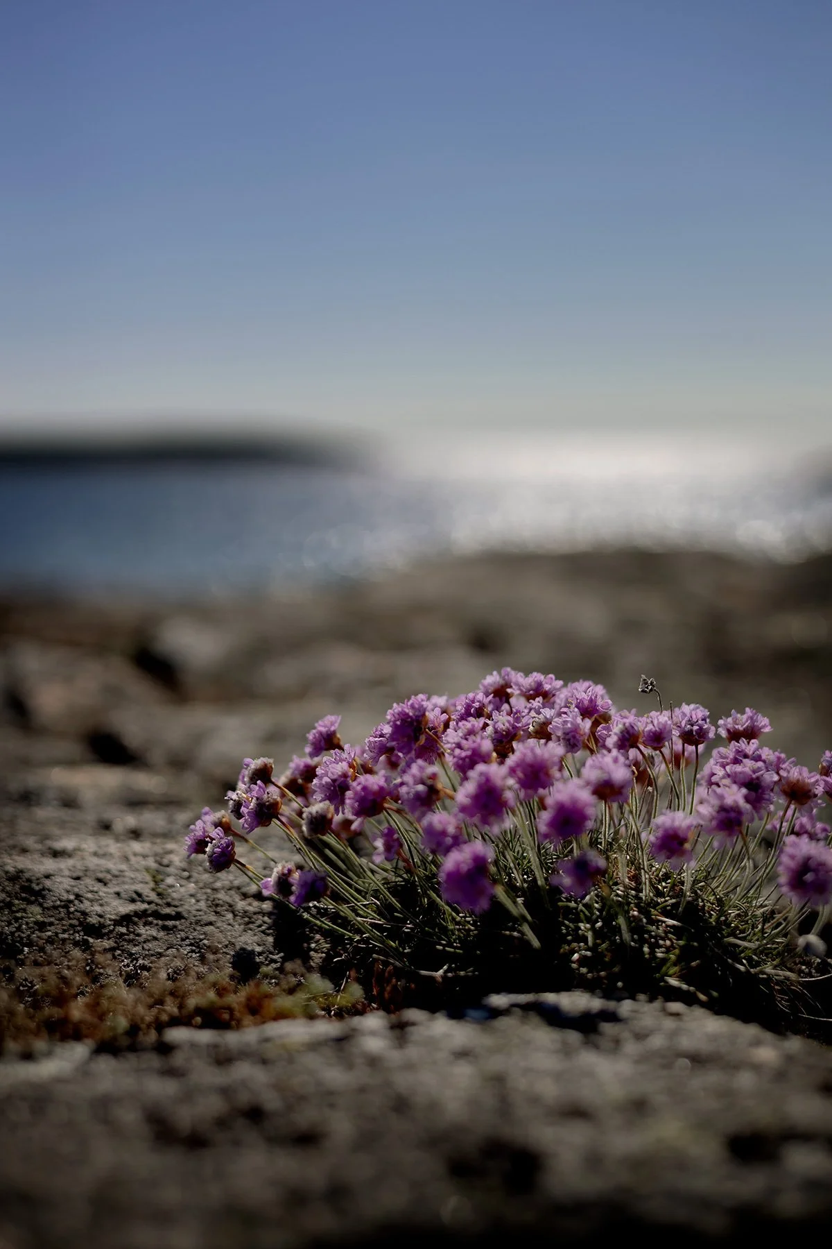 blogg-250512irenelarsbertil7.jpg