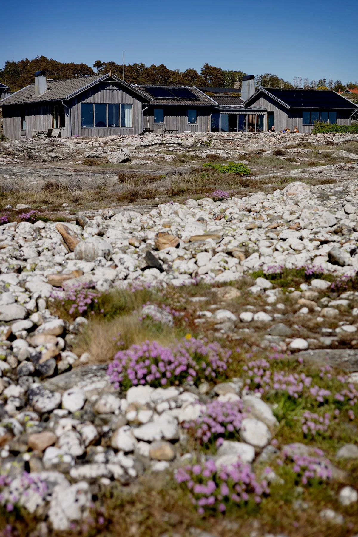 blogg-250512irenelarsbertil15.jpg