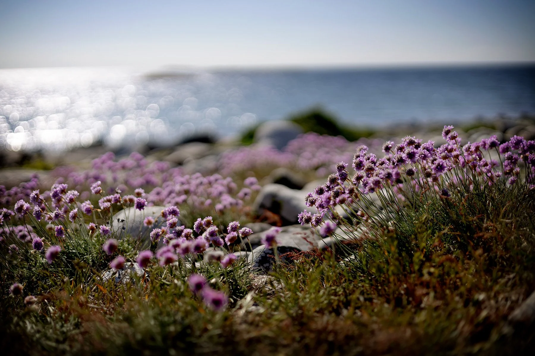 blogg-250512irenelarsbertil18.jpg