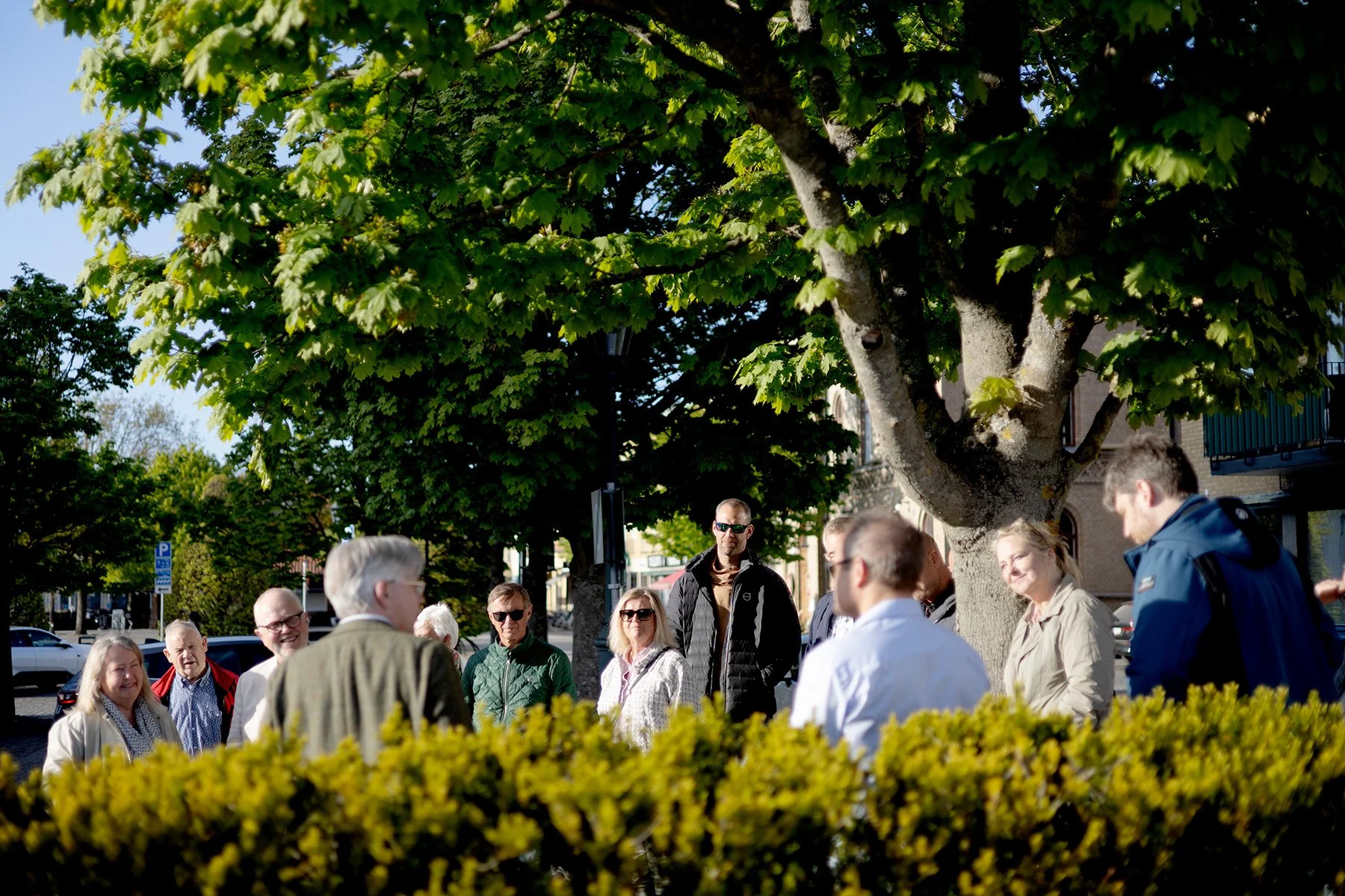 blogg-250512vvff-stadsvandring12.jpg