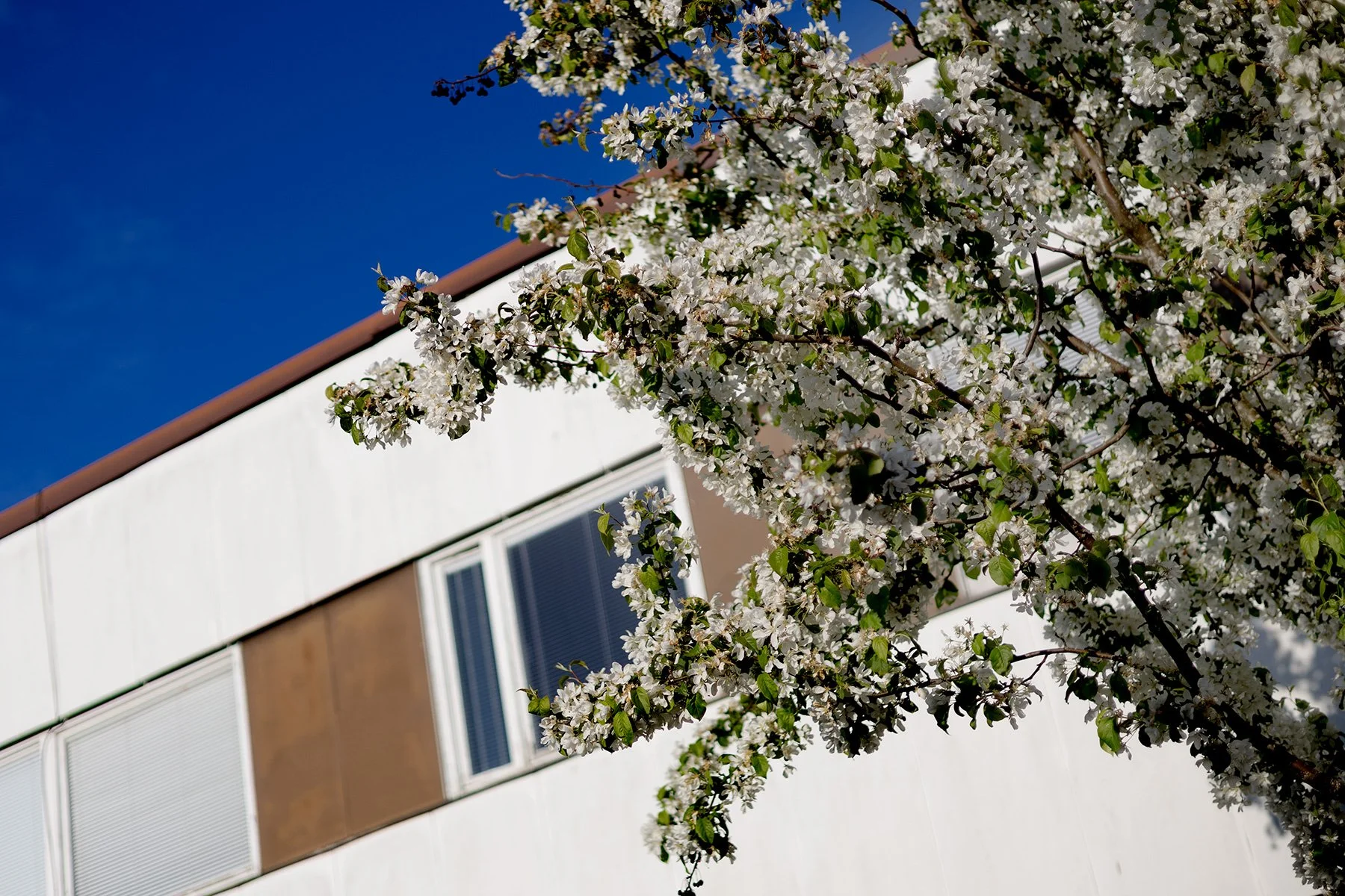 blogg-250512vvff-stadsvandring15.jpg