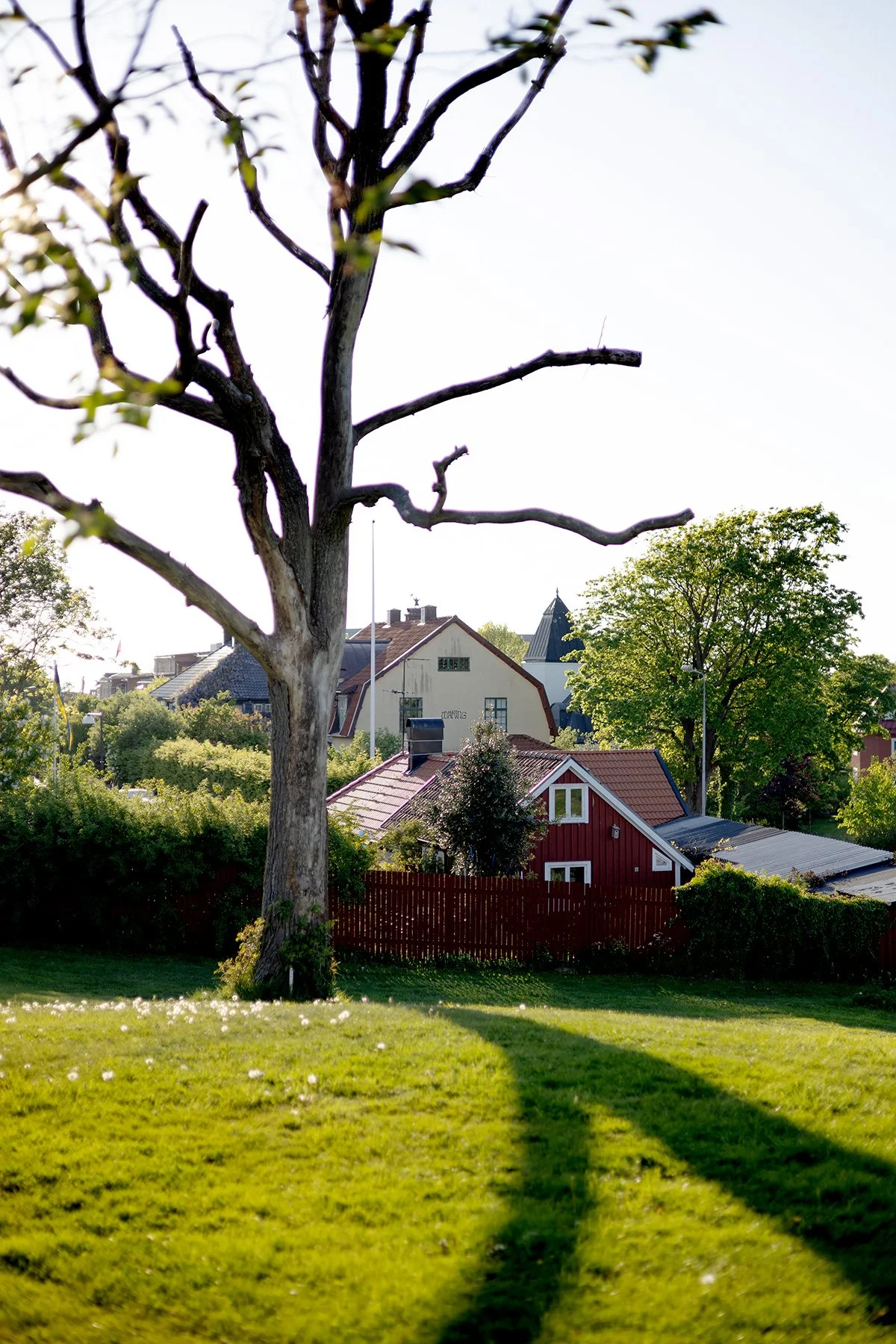 blogg-250512vvff-stadsvandring19.jpg