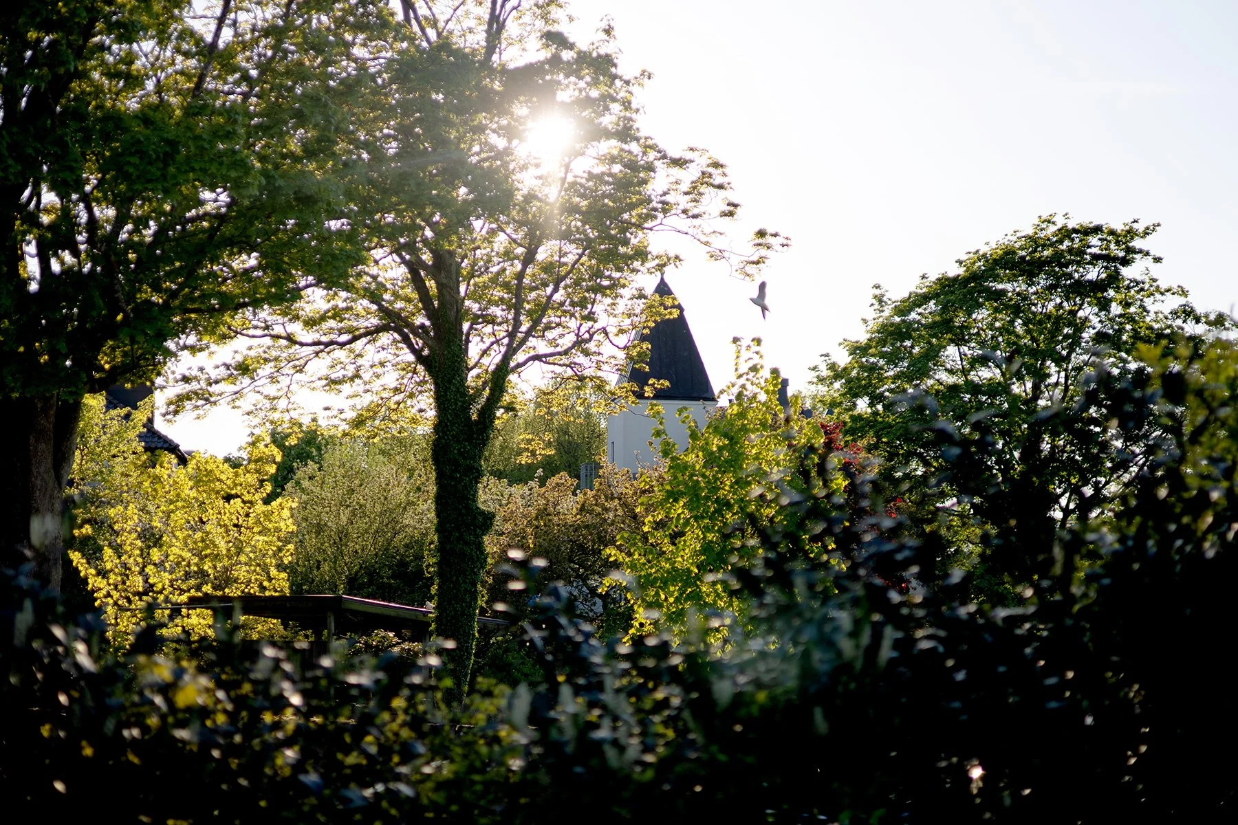 blogg-250512vvff-stadsvandring26.jpg