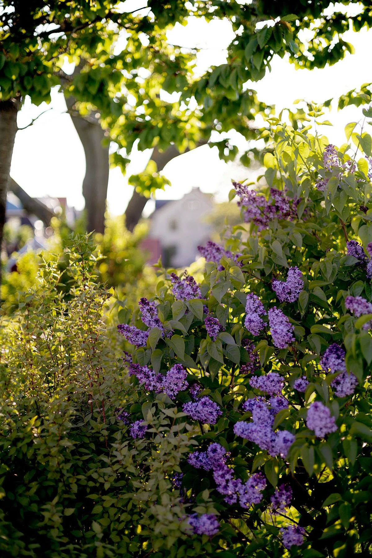 blogg-250512vvff-stadsvandringny.jpg