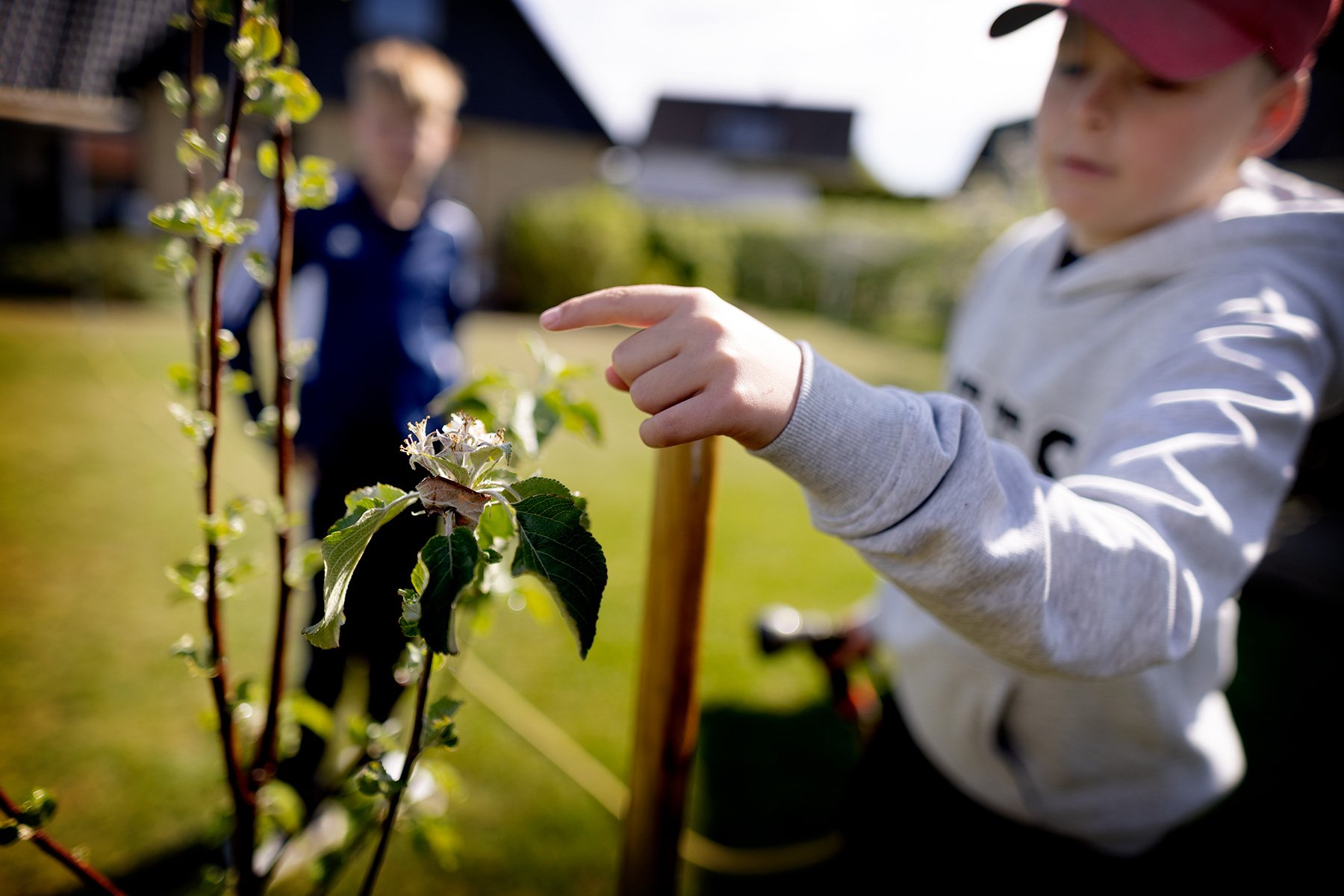 blogg-250518elofbertilvattnar3.jpg