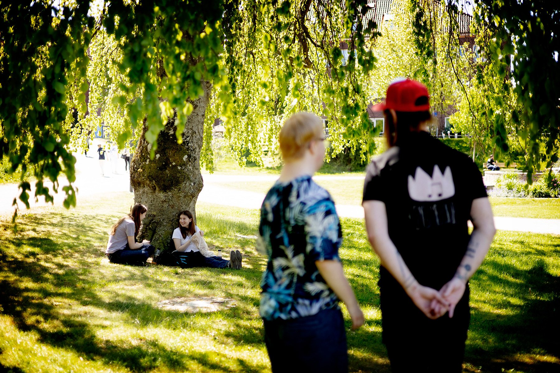 blogg-250519skolresahalmstad10.jpg