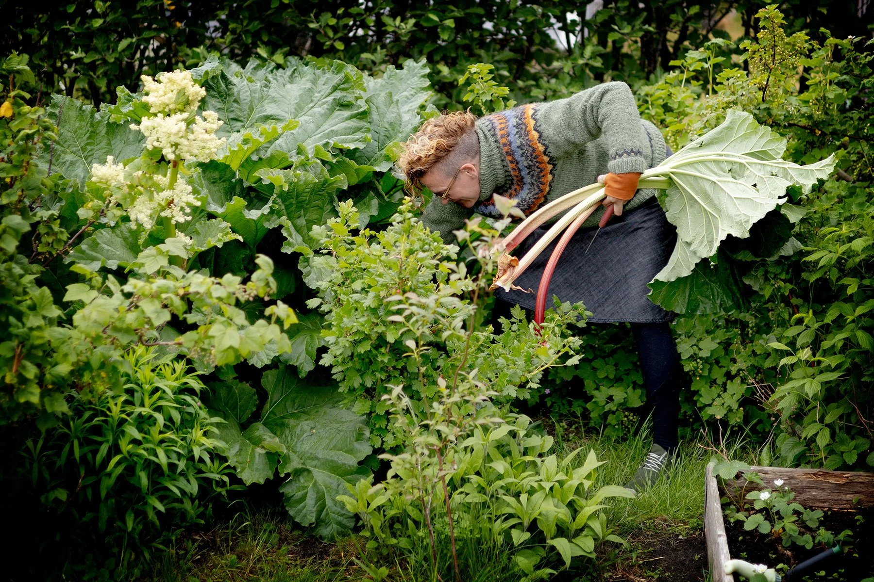 blogg-250525malinfodelsedag2.jpg