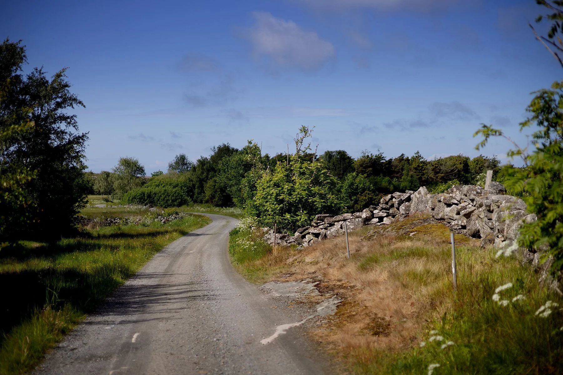 blogg-250526promenad5.jpg