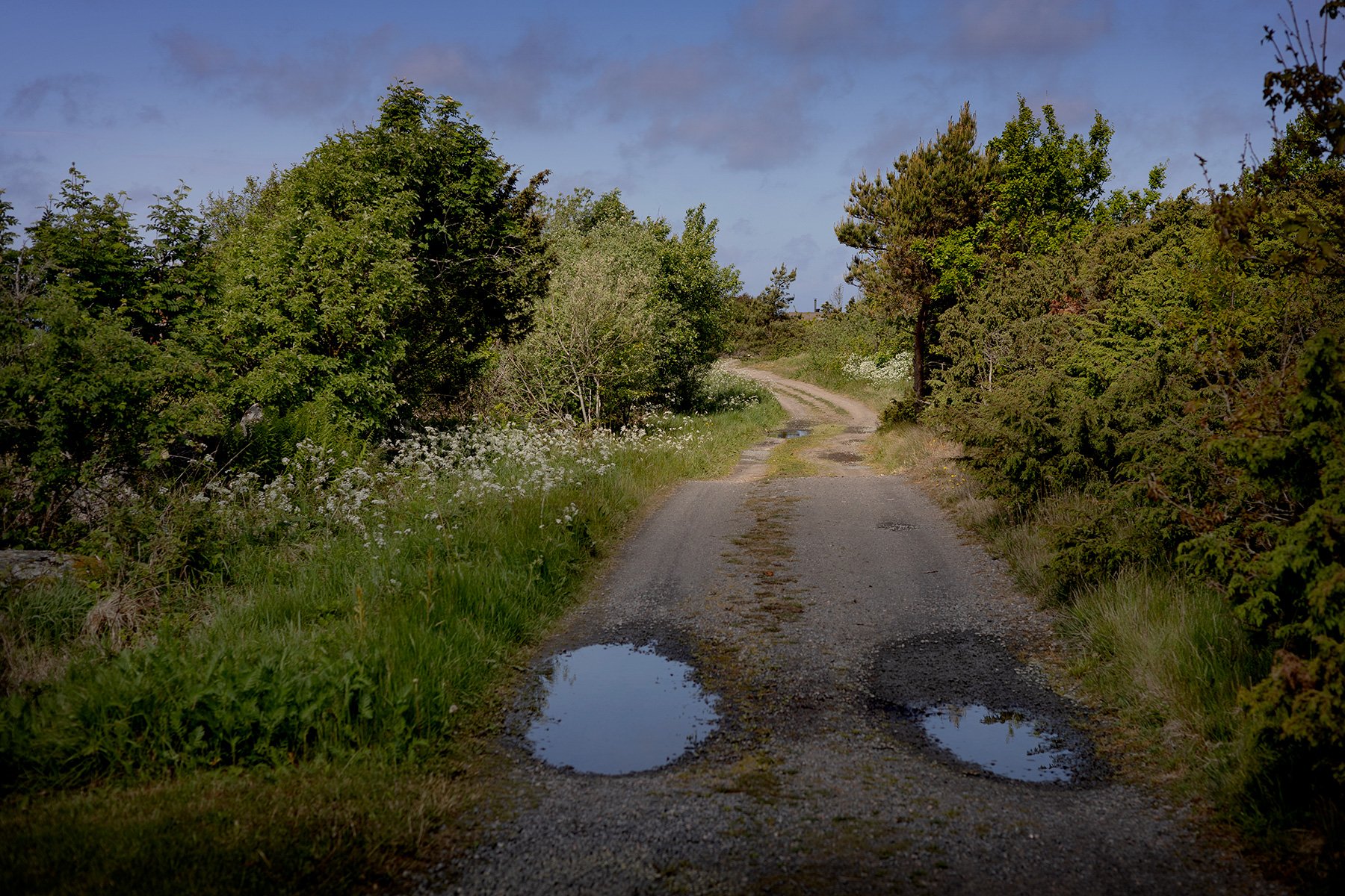 blogg-250526promenad6.jpg