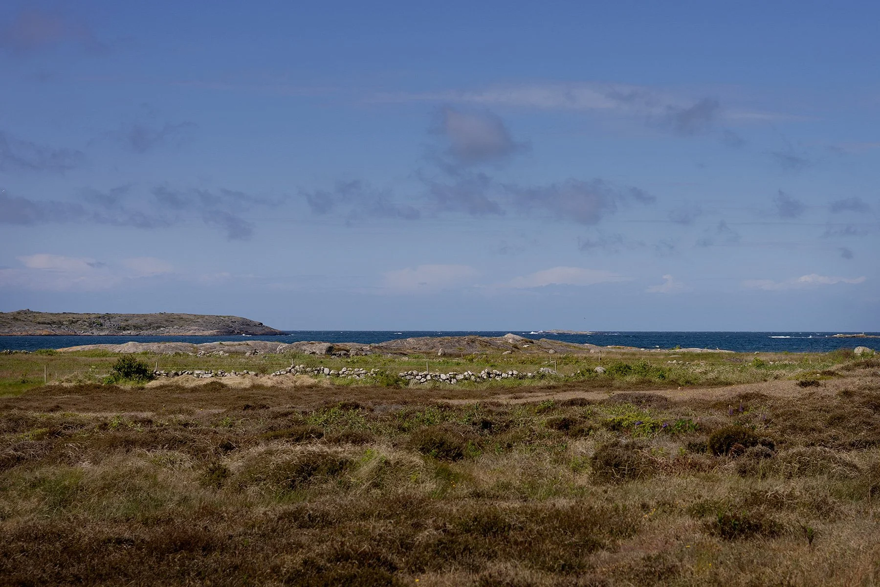 blogg-250526promenad12.jpg