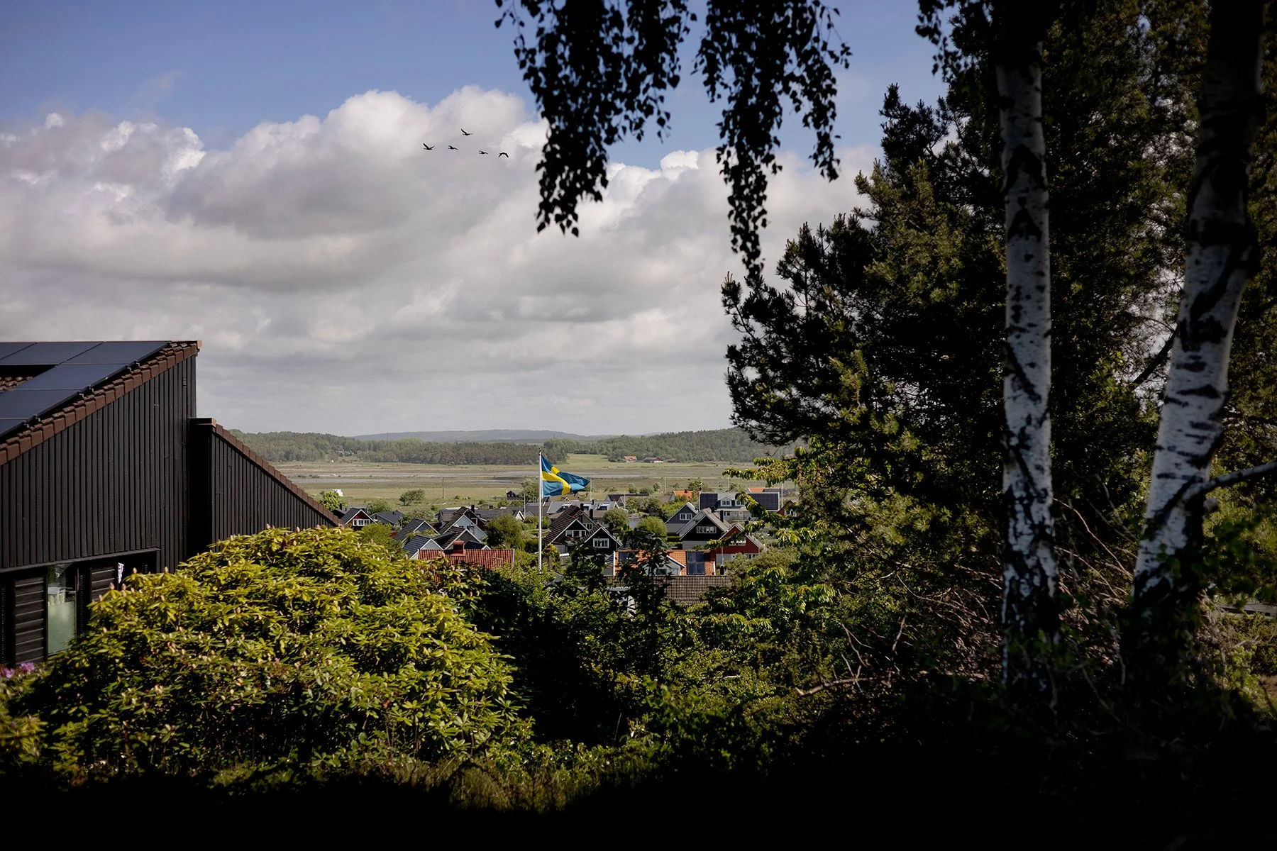blogg-250526promenad16.jpg