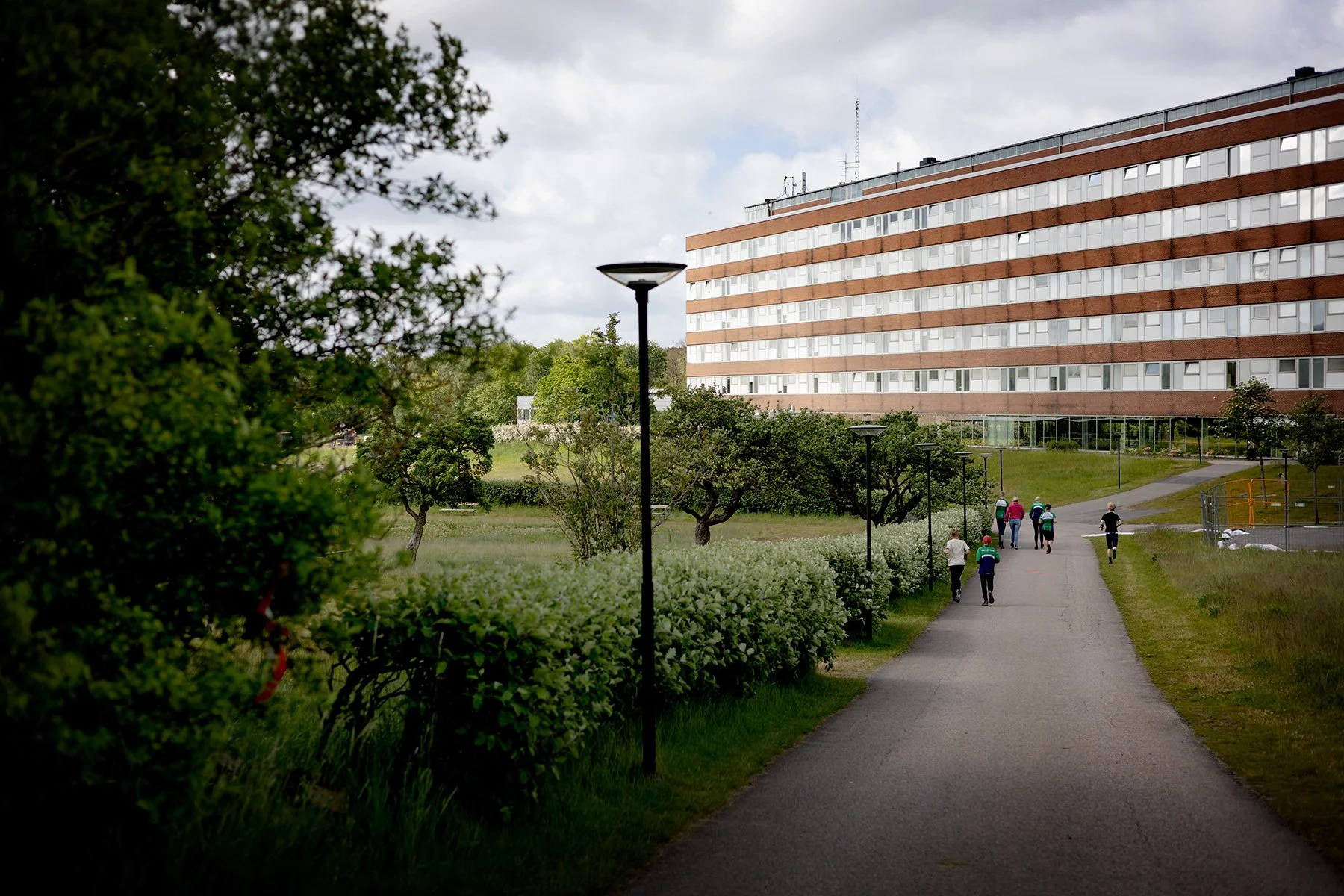 blogg-250729orienteringfriskus7.jpg