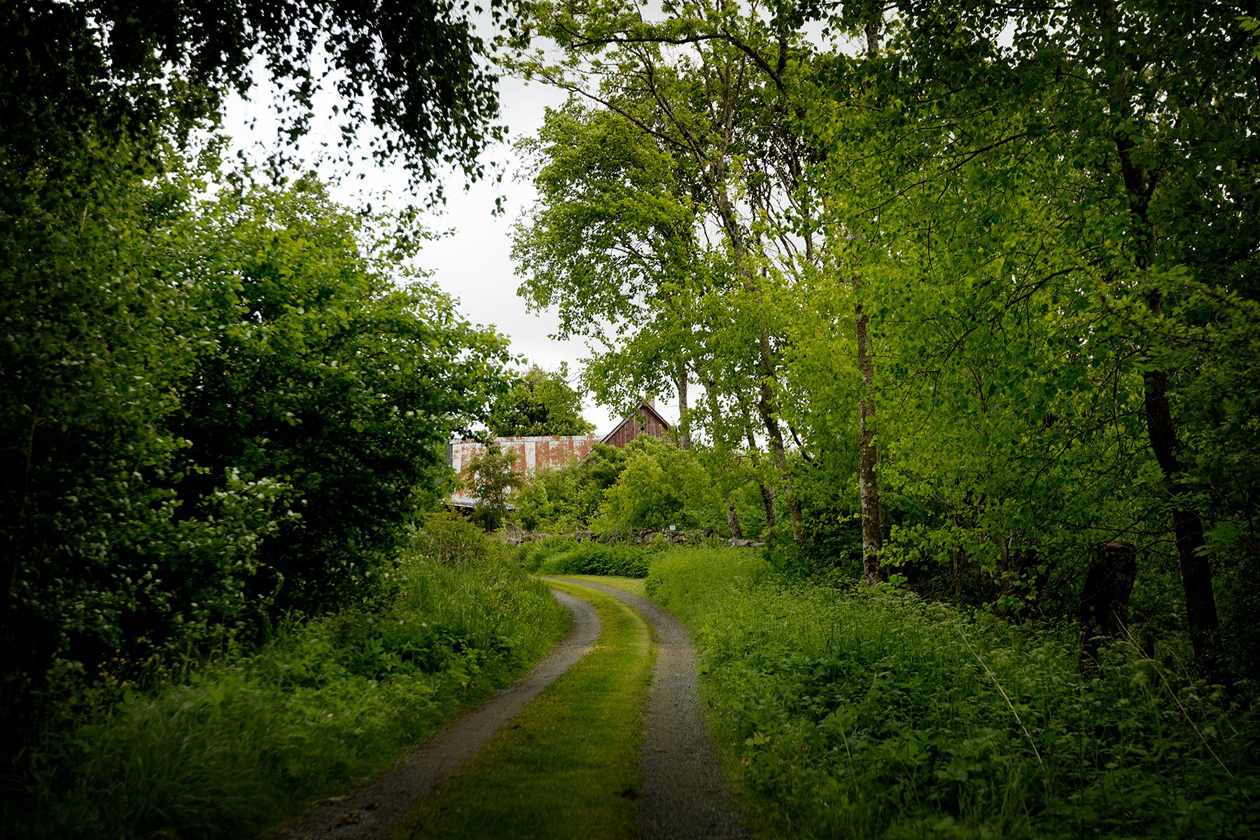 blogg-150530konstrundan5.jpg