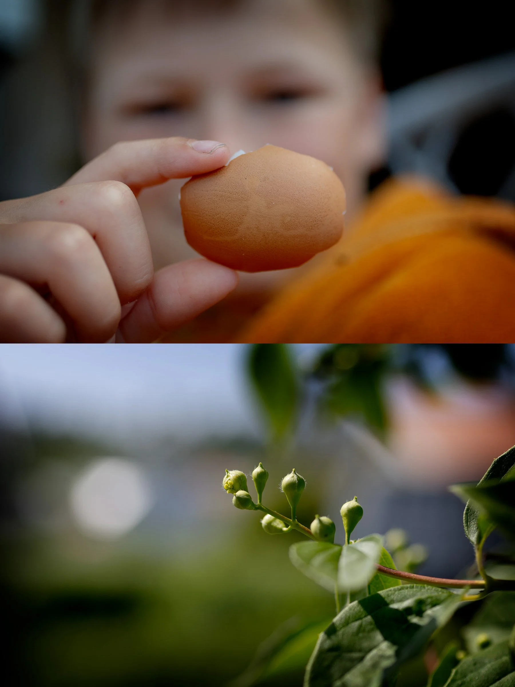 Frukost i uterummet