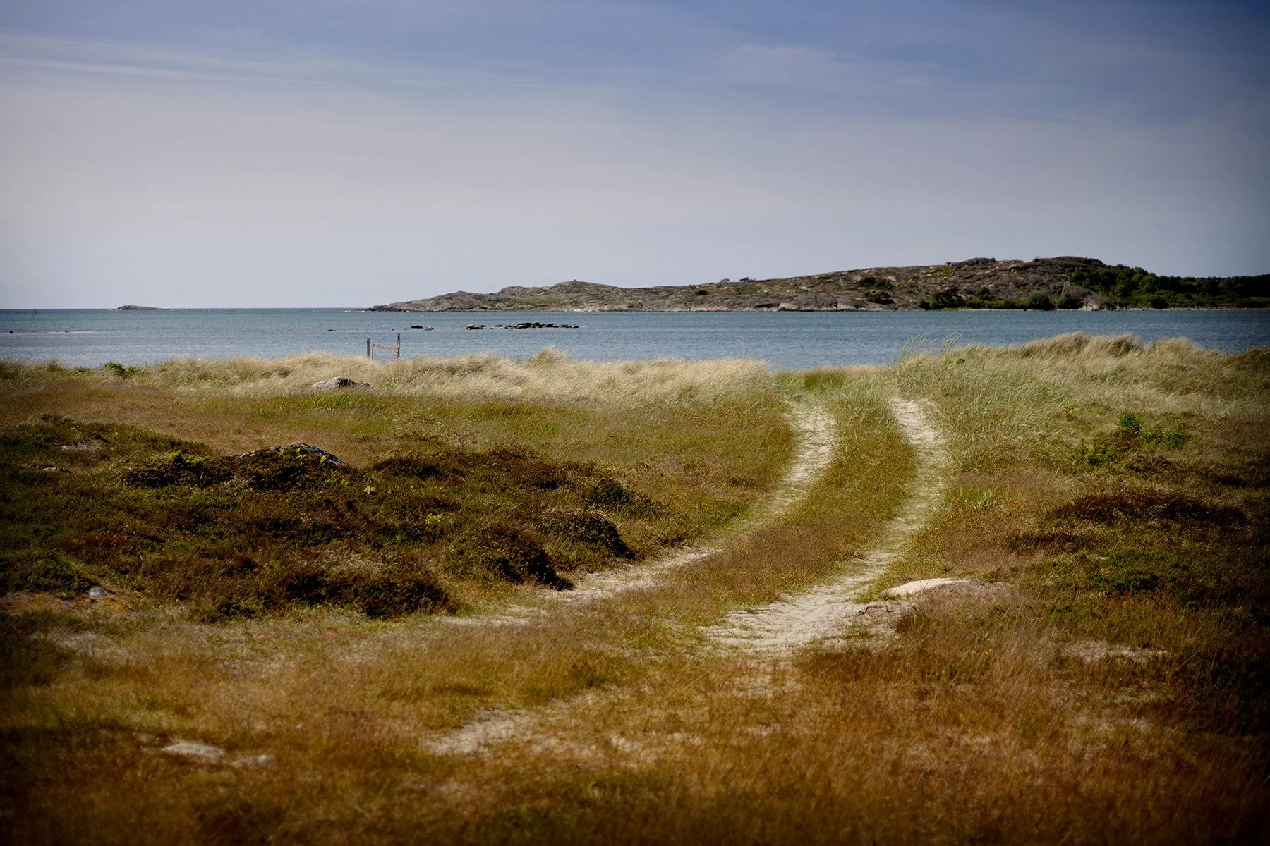 blogg-250603bale-strandkal7.jpg