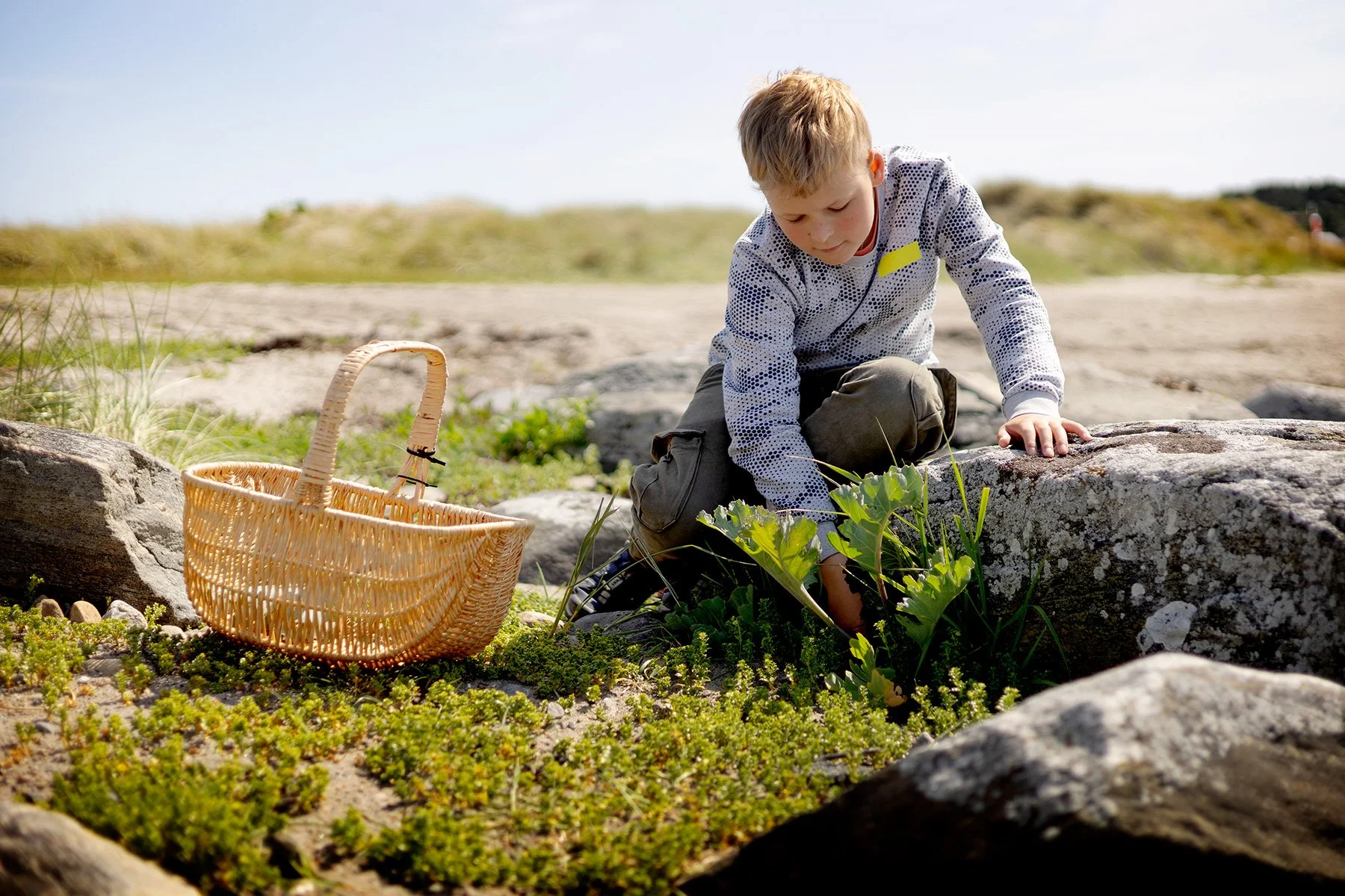 blogg-250603bale-strandkal12.jpg