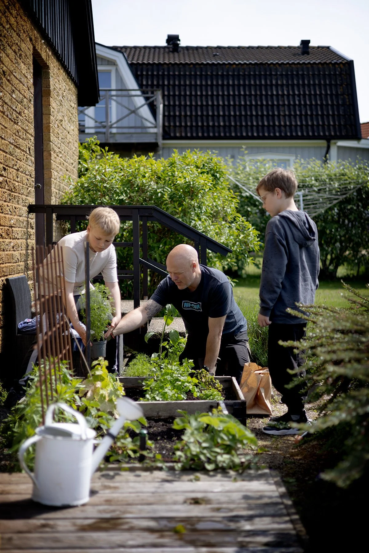 blogg-250608plantering1.jpg