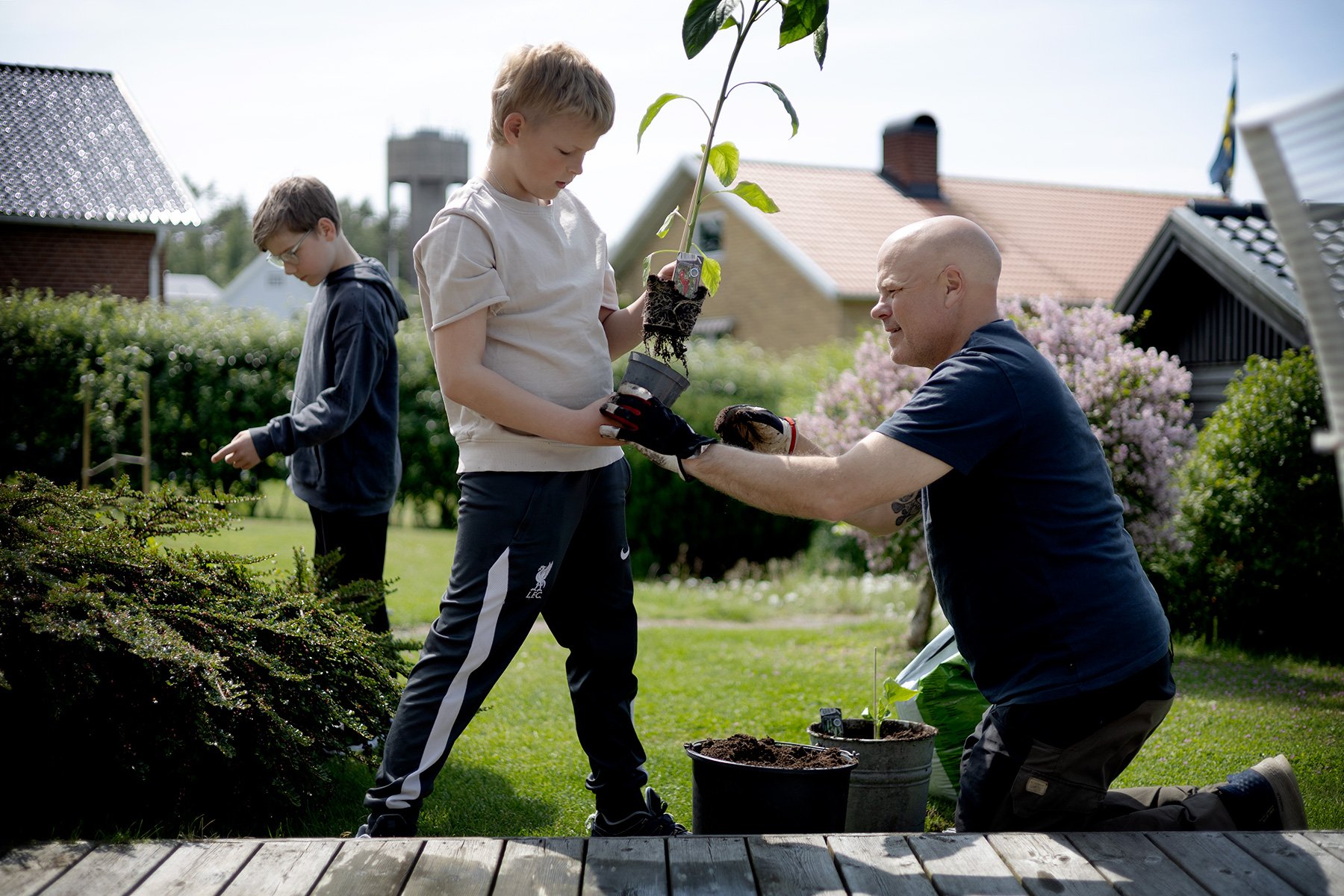 blogg-250608plantering3.jpg