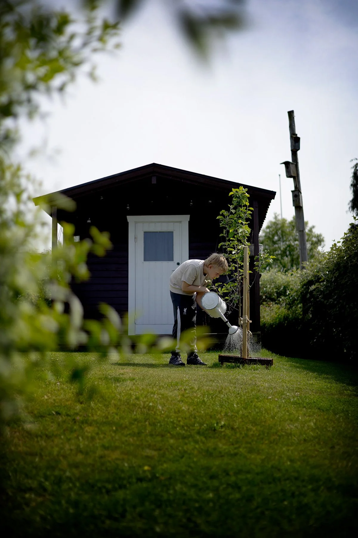 blogg-250608plantering5.jpg