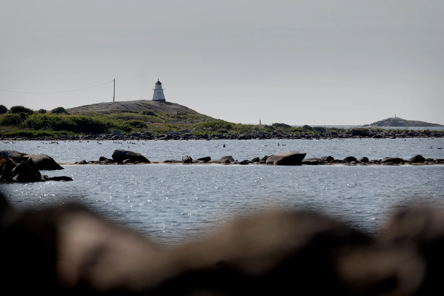 blogg-250612rubensgangpahavet14.jpg
