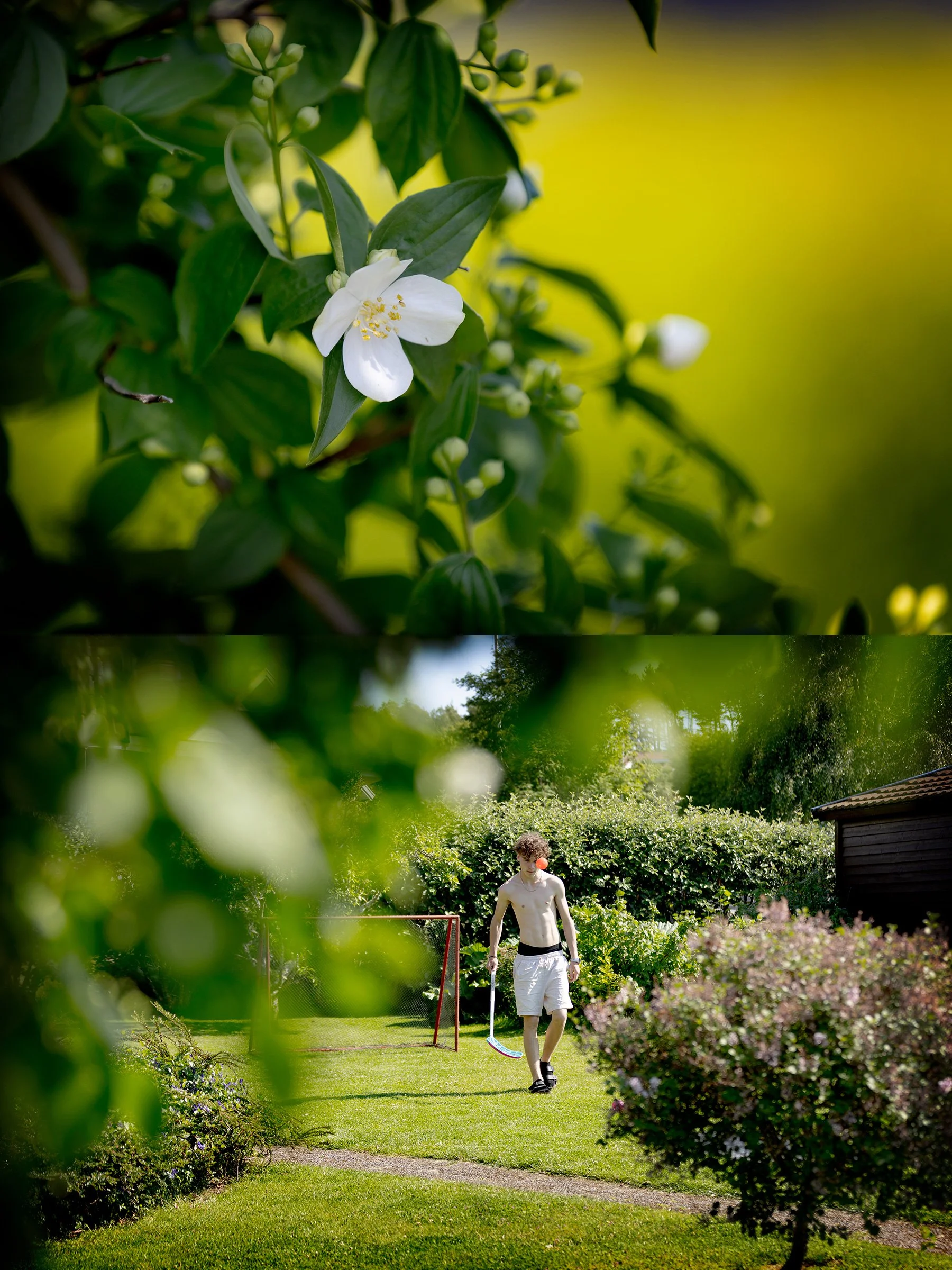 Sommarlov