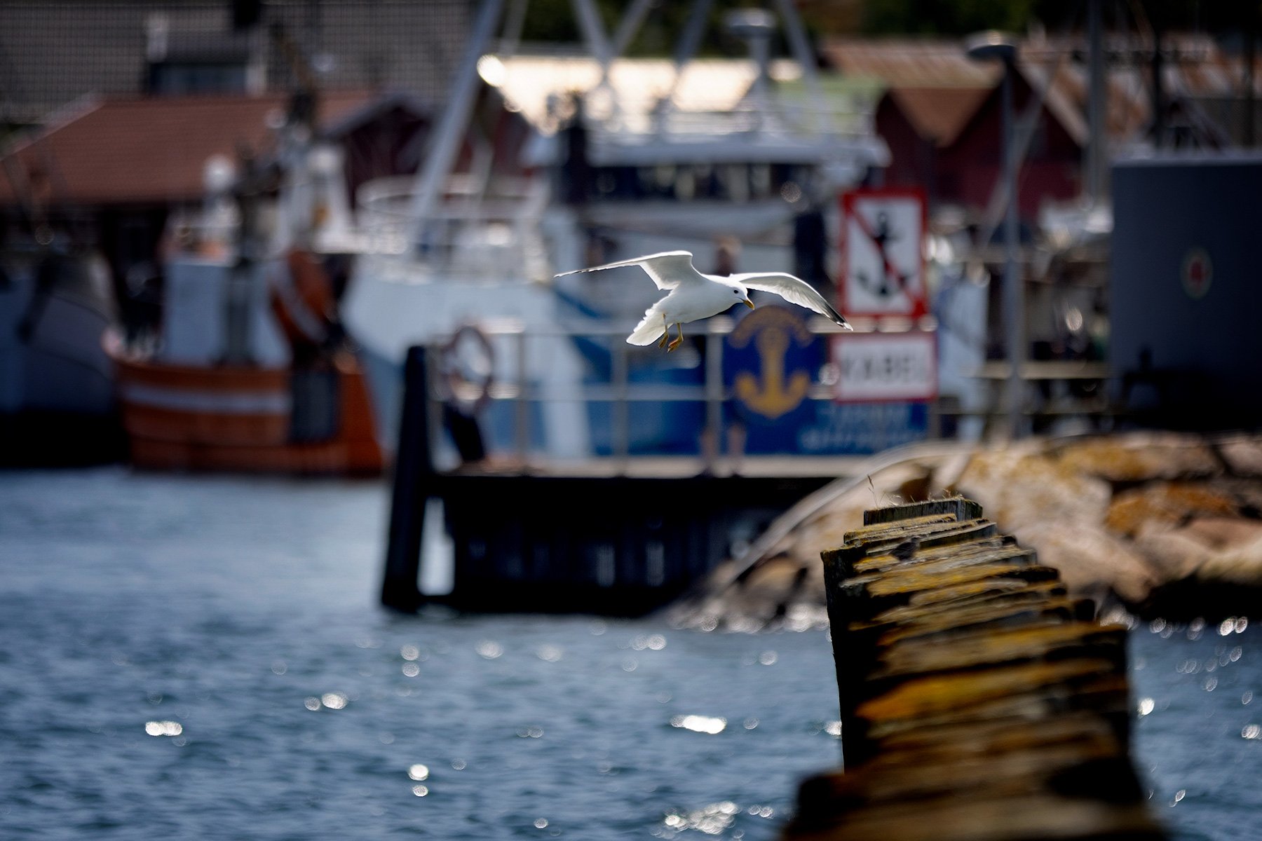 blogg-250616seglarskola4.jpg