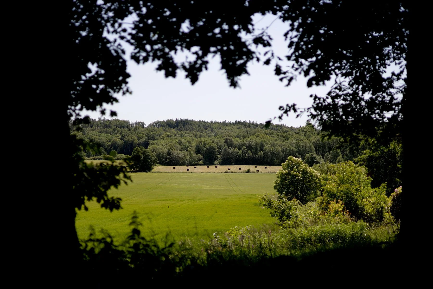 blogg-250620midsommariambjorntorp1.jpg