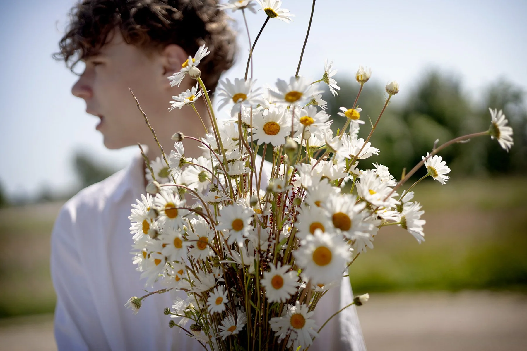 blogg-250620midsommarblommor3.jpg