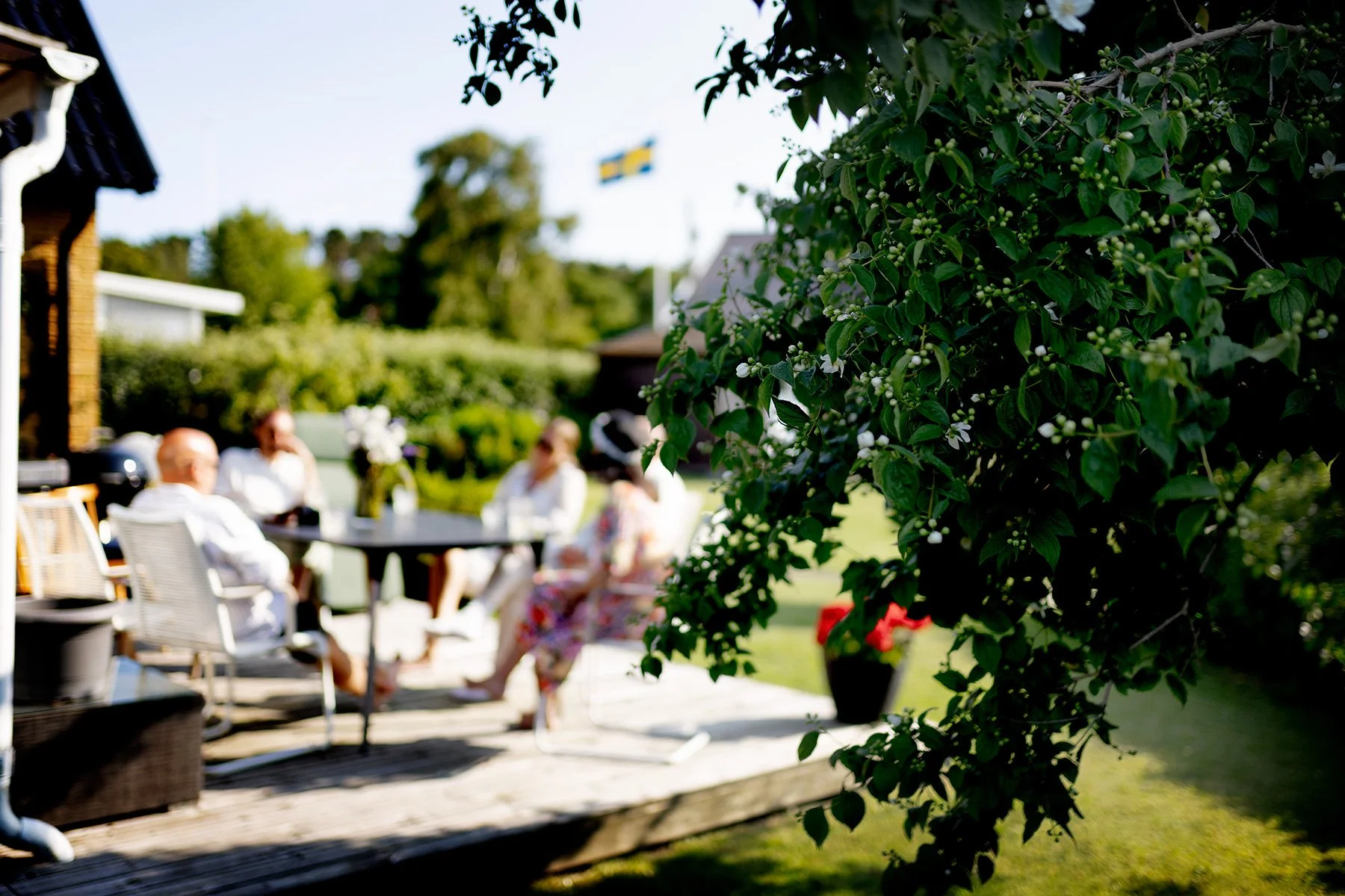 blogg-250620midsommarhososs3.jpg