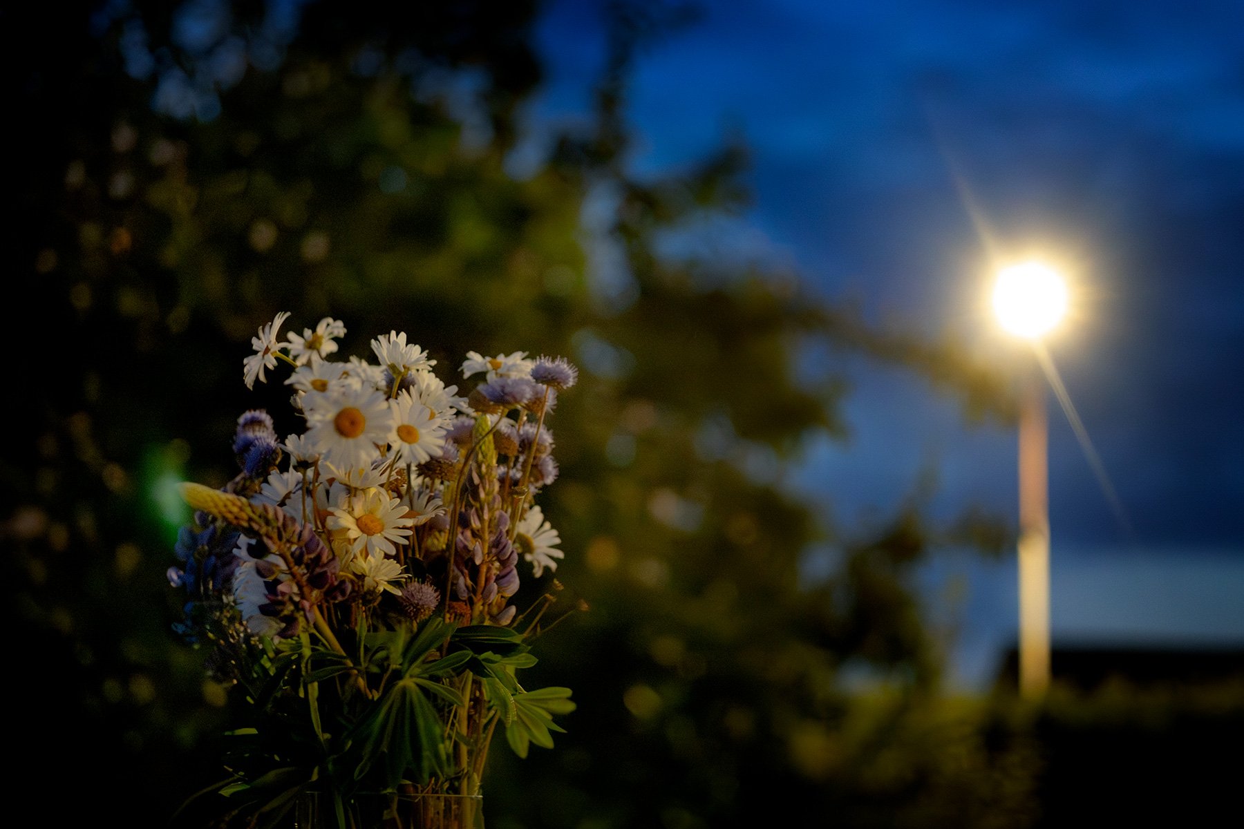 blogg-250620midsommarhososs20.jpg