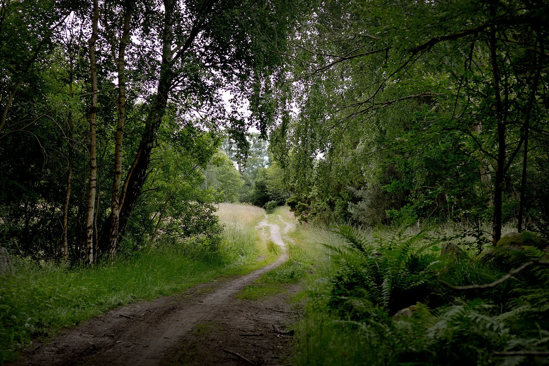 blogg-250621sanddamm2.jpg